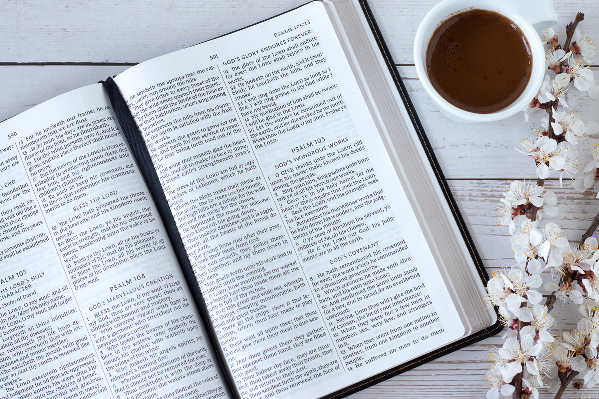 Printed Books vs. E-books: Which Is Better?