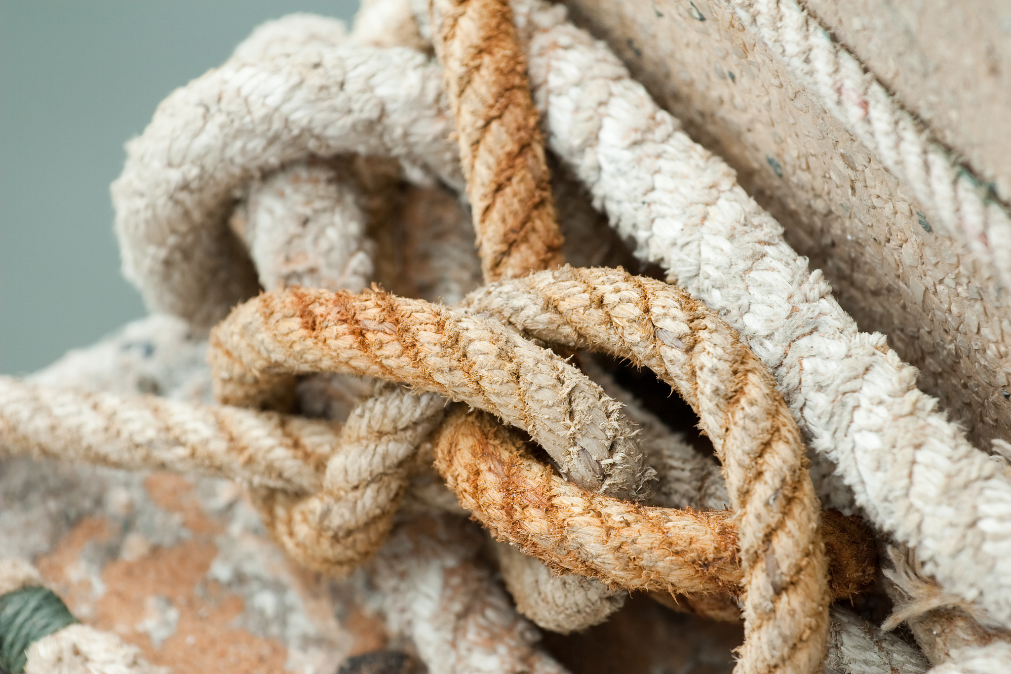 成都中医药大学中药学专业招生