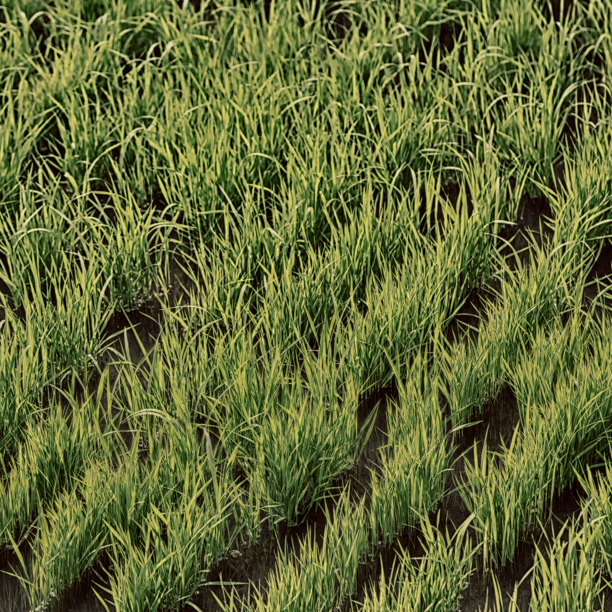 铜仁职业技术学院生态农业技术专业怎么样都要学些什么