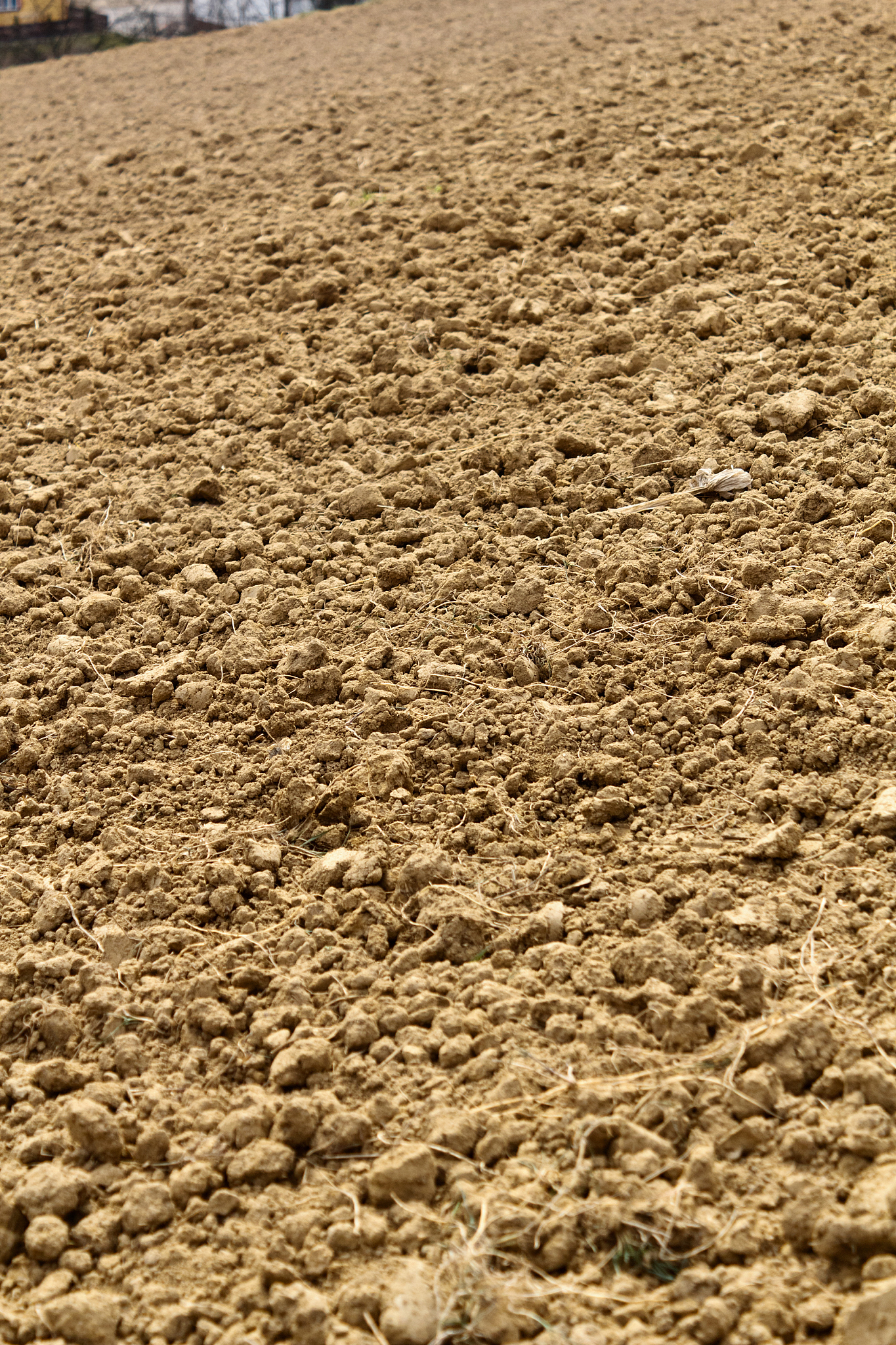 plowed field background