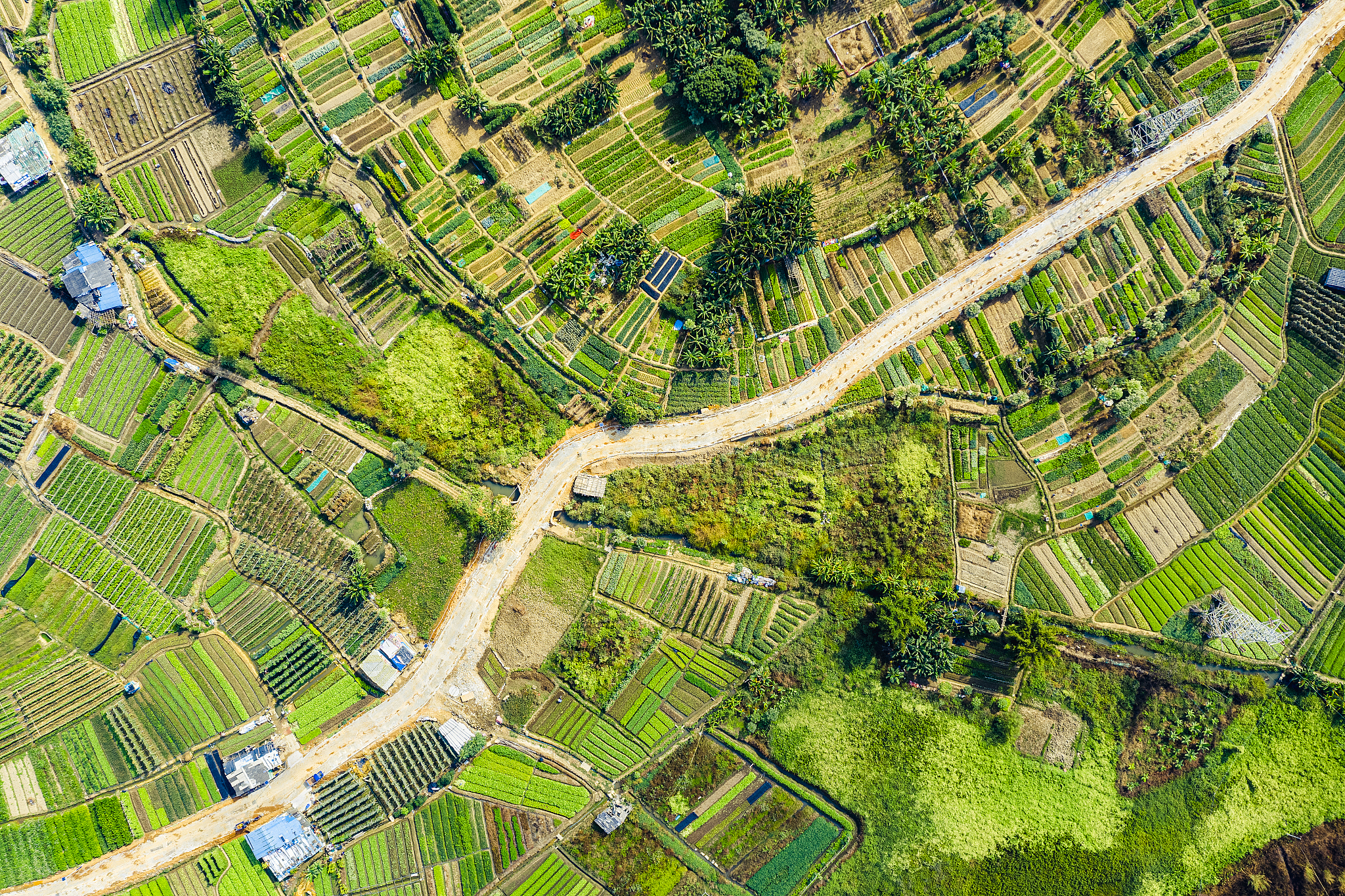 如何快速识别并勾绘城区农林用地