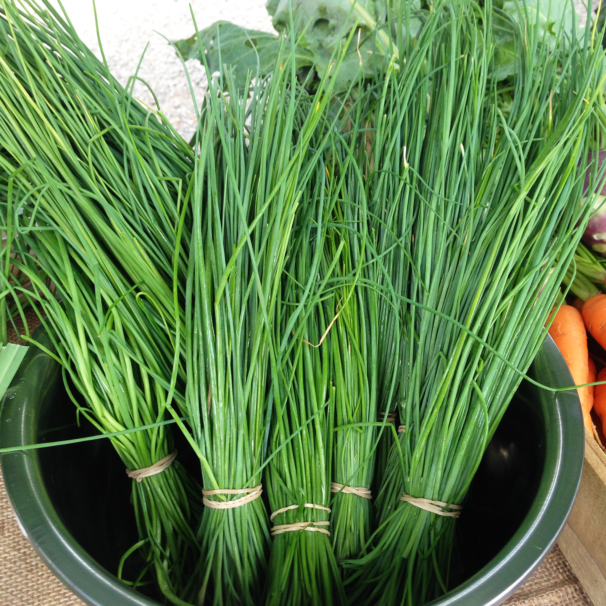 凯里中专学校排名：哪所学校适合你？