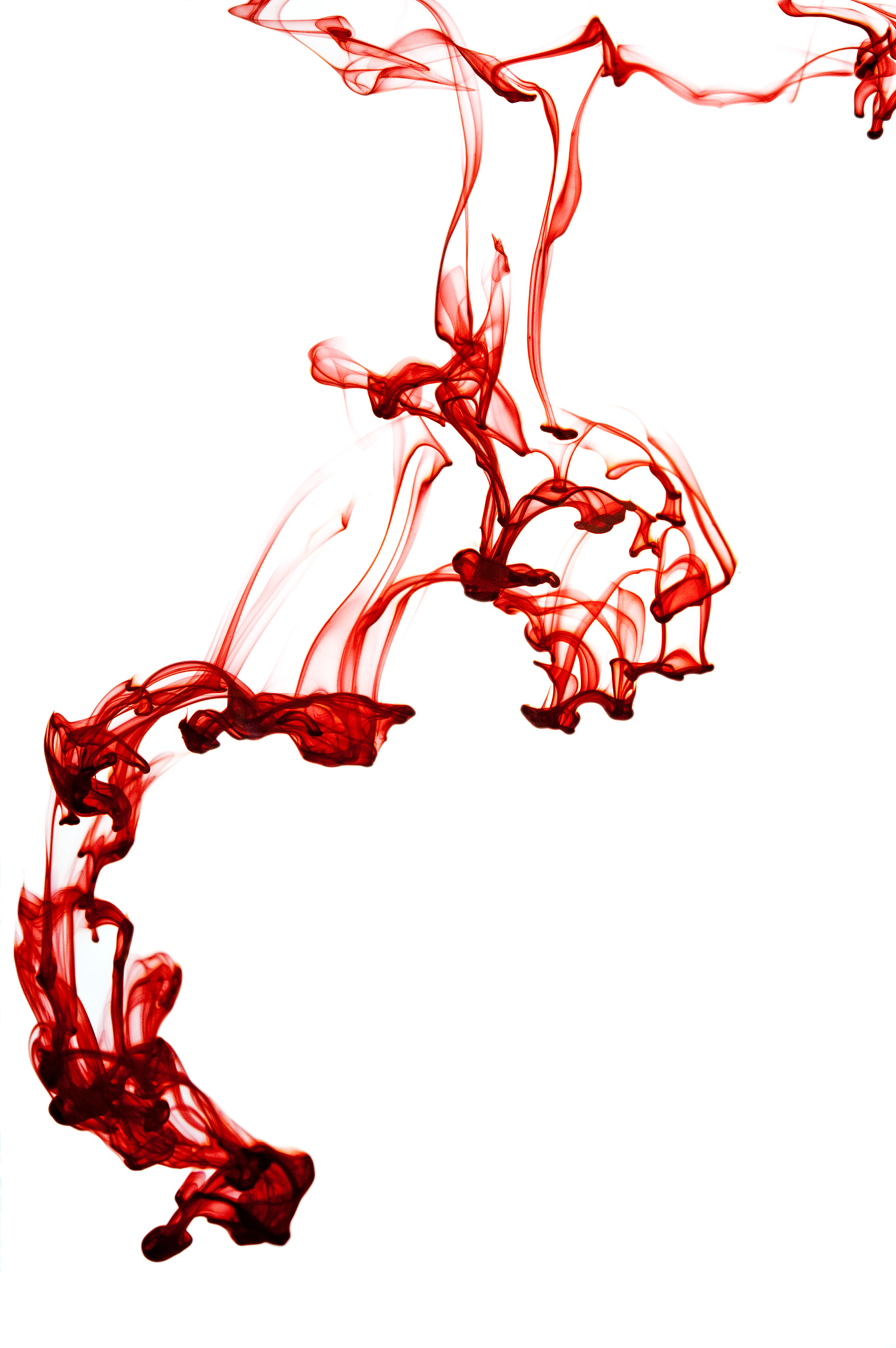 洛阳艺术设计学校2022年招生简章 - 培养你的艺术梦想