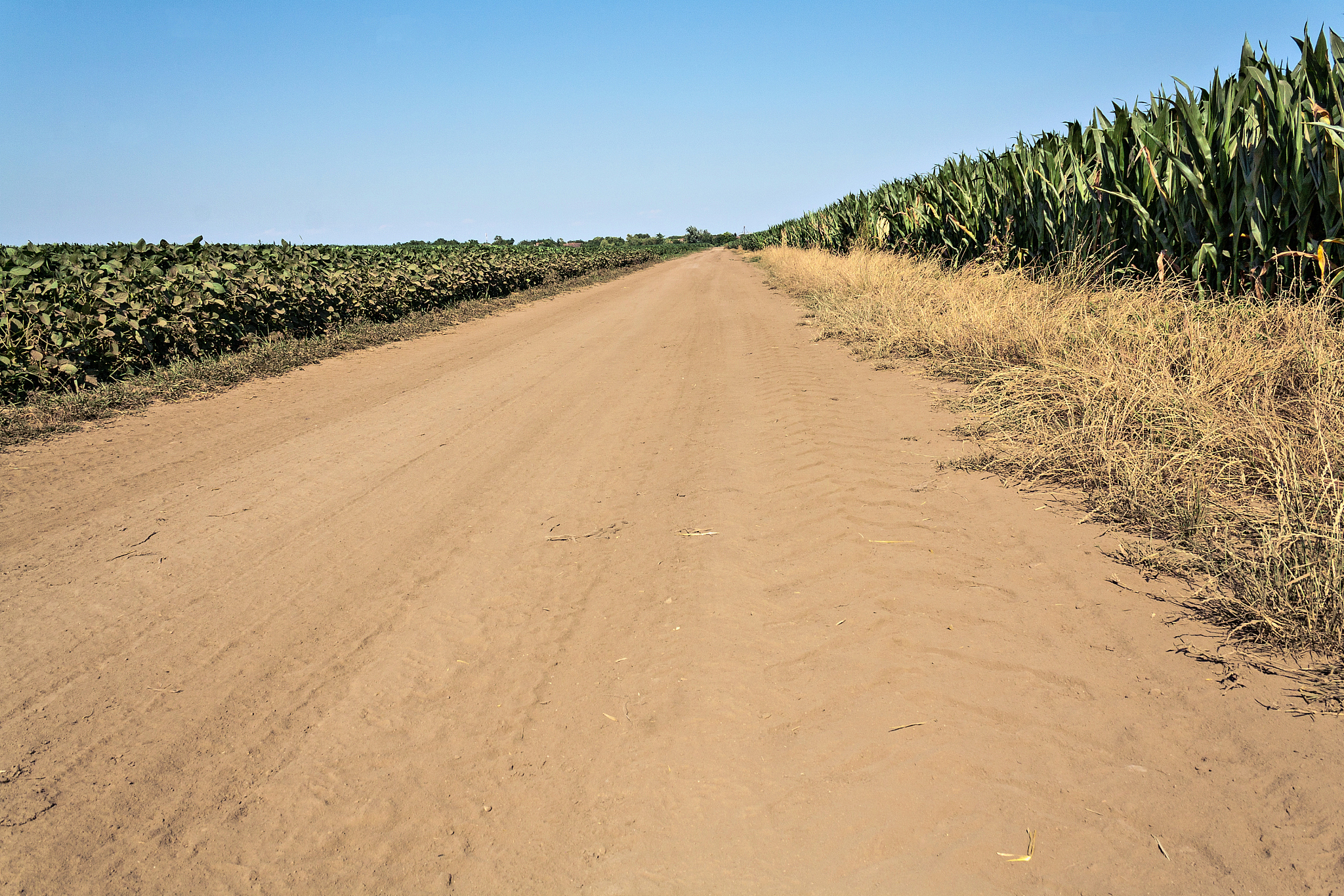 dirt road