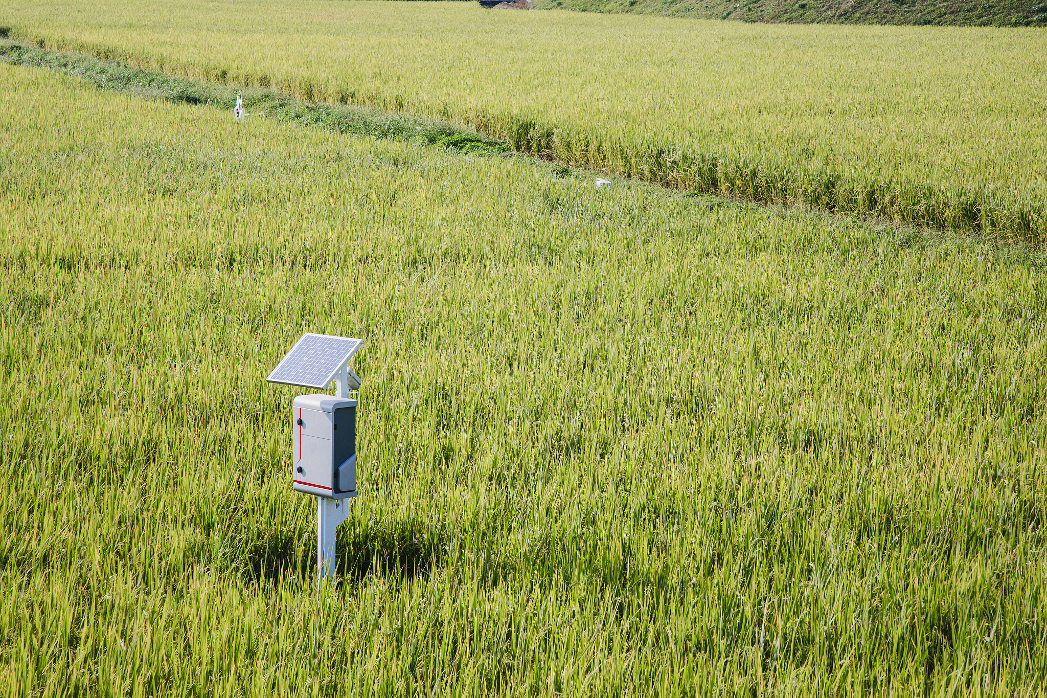 高标准农田物联网设备管理平台建设方案：实现智能化、精细化和高效化管理