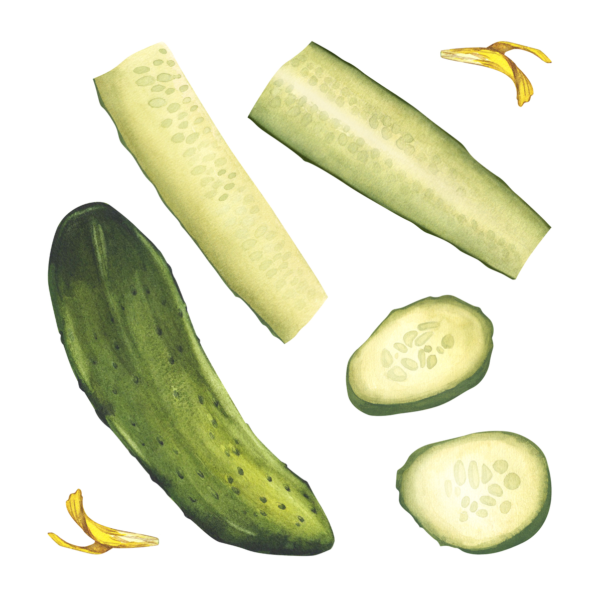 消耗一根黄瓜需要多少热量，