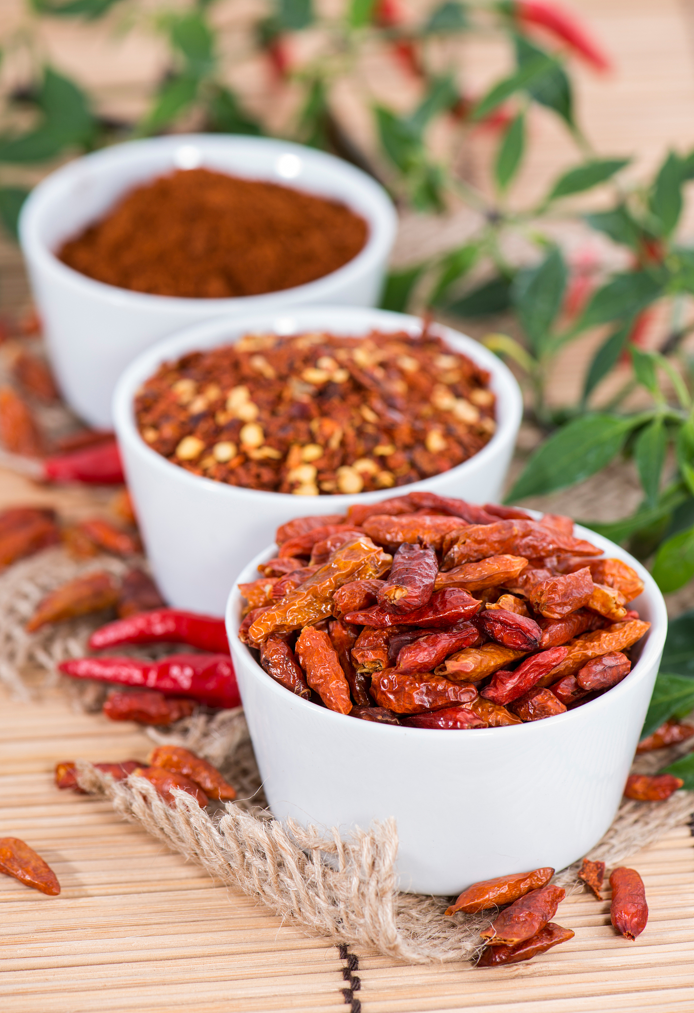 辣味食品公司 - 优质辣椒制品，满足您的辣味需求