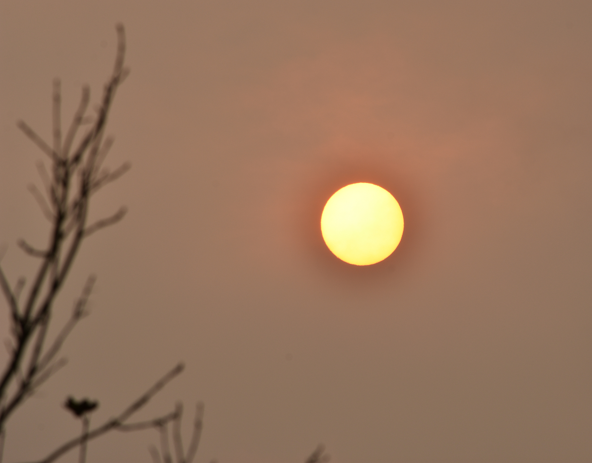 red sun