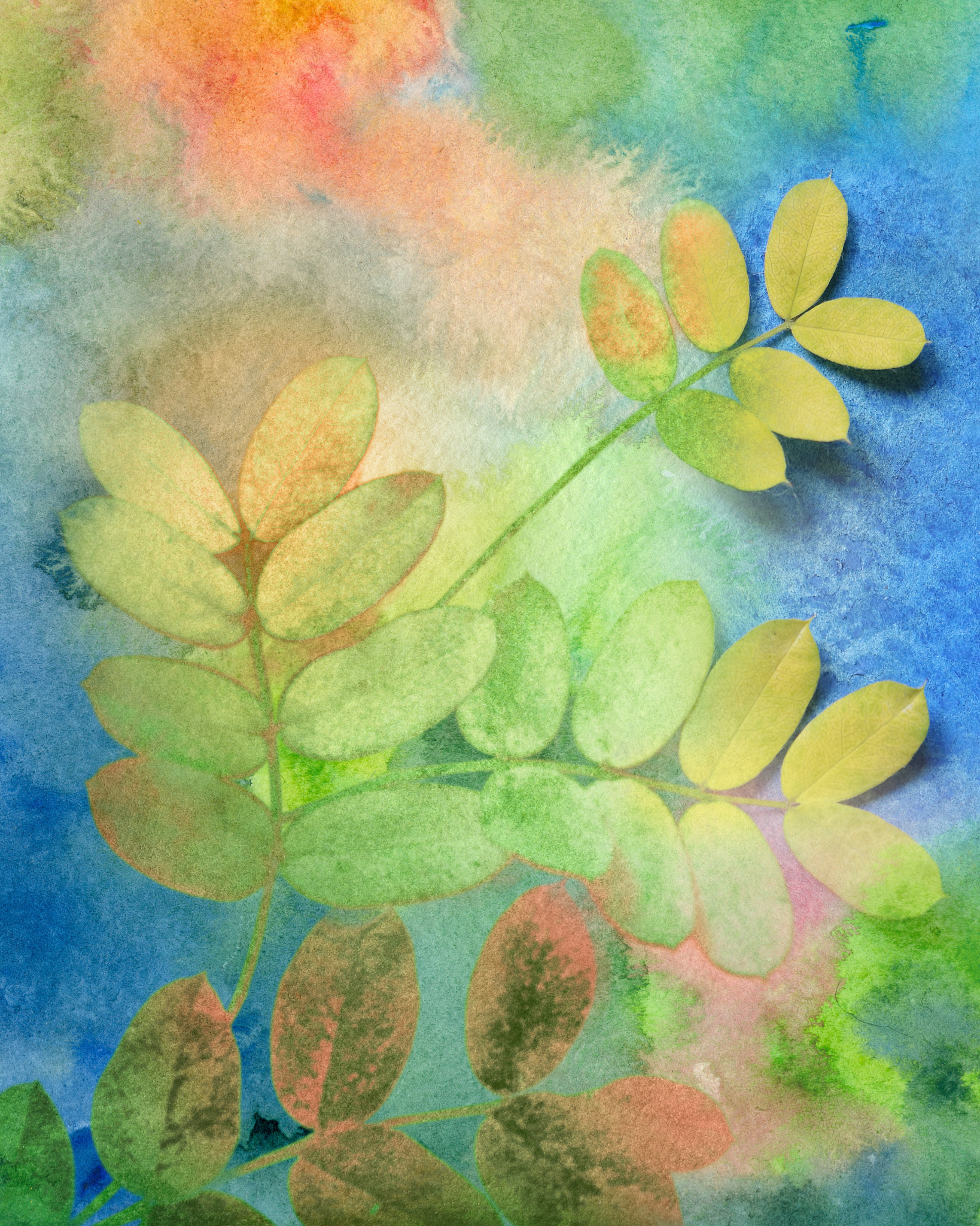 江苏中职技术学校美术教育专业课程设置：培养美术教育专业人才