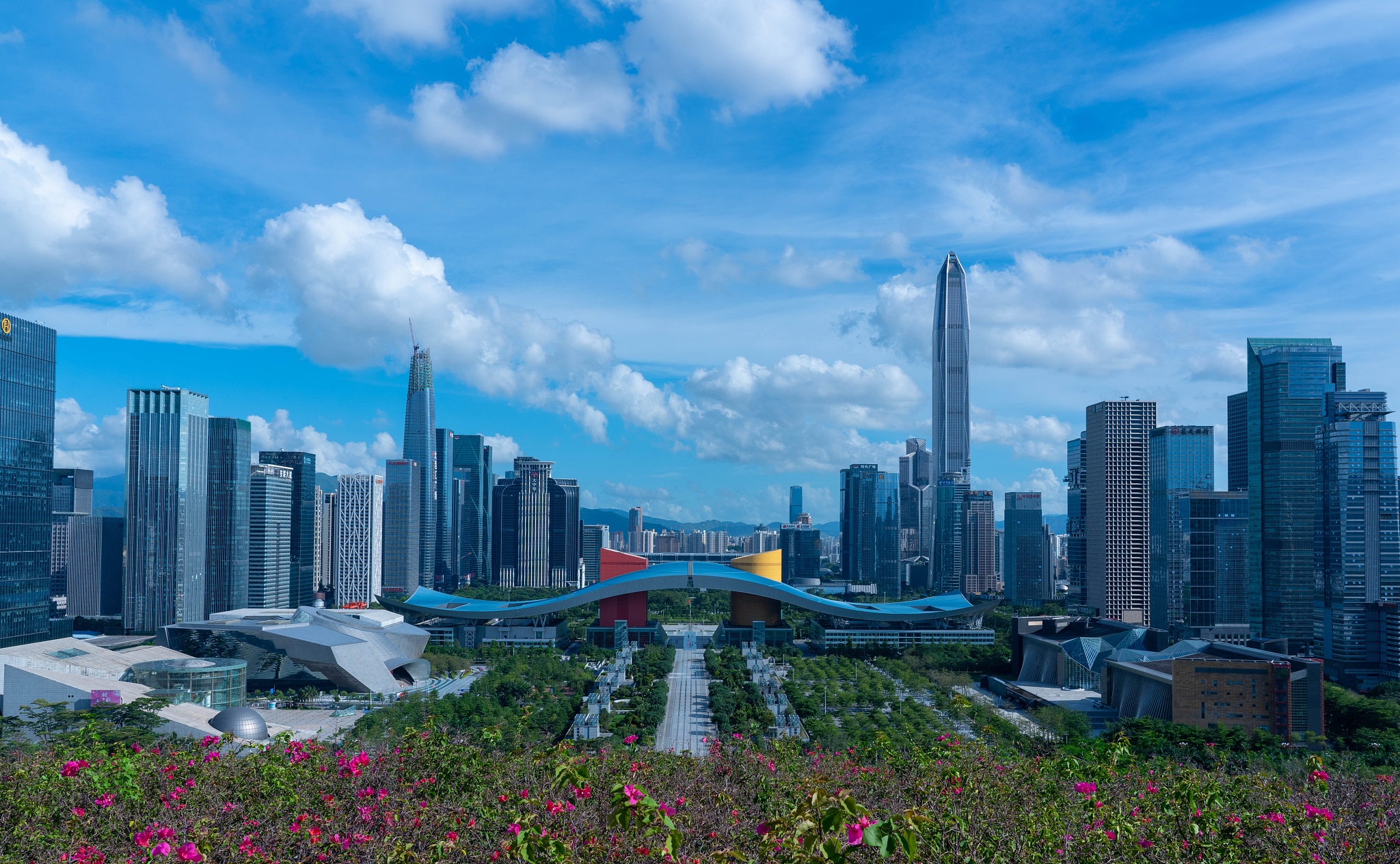 深圳先行示范区建设：参考文献及页码