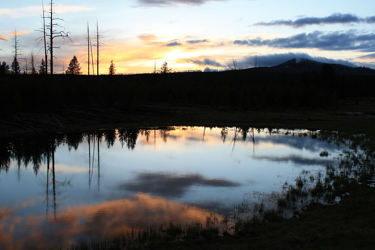 观察日记：公园一日游，记录城市里的美好与活力
