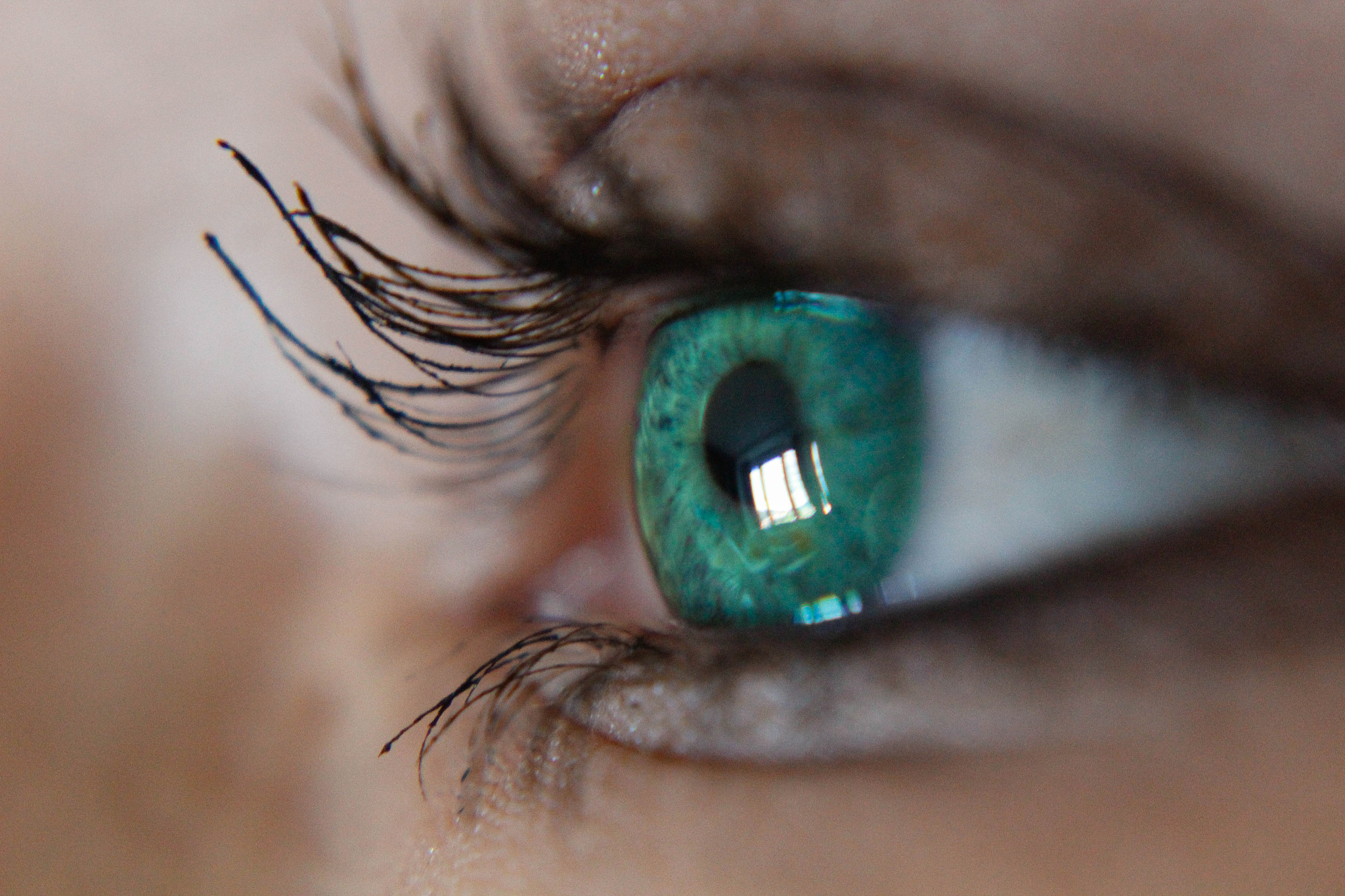 eye with reflection
