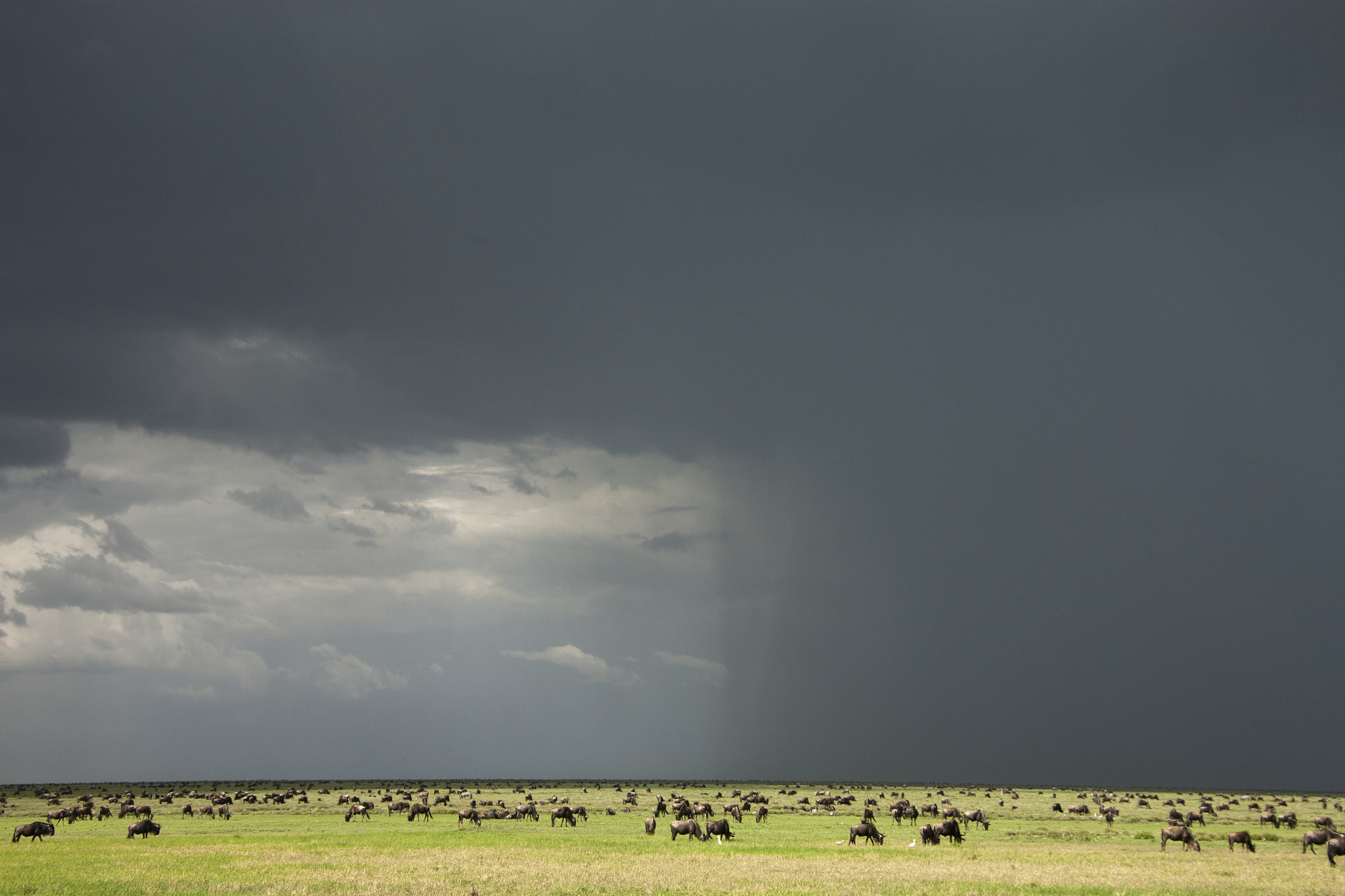 ngorongoro stormy sky