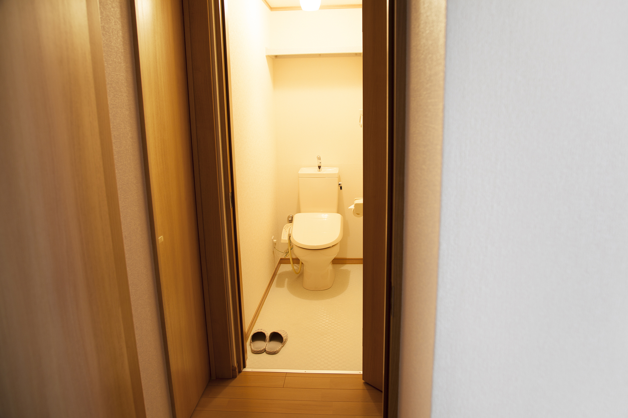home flush toilet