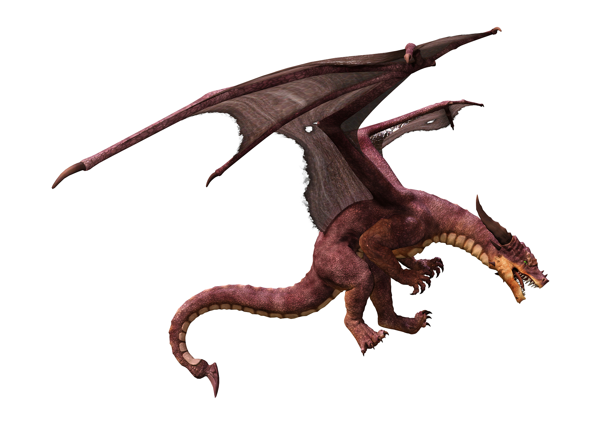 3d illustration fantasy dragon on white