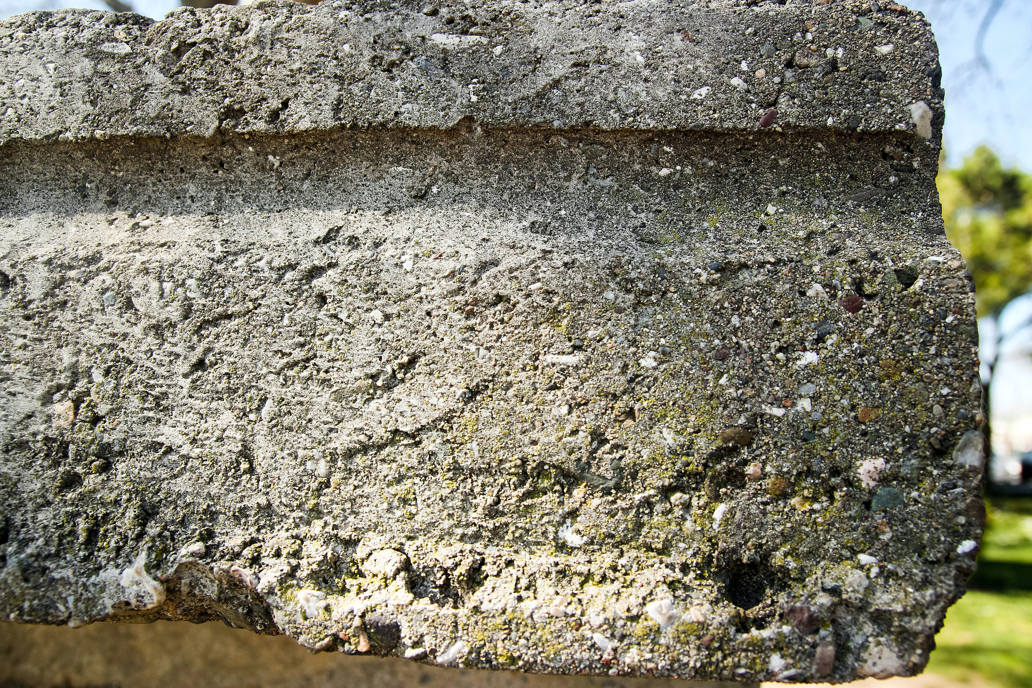 Raw Material是什么意思