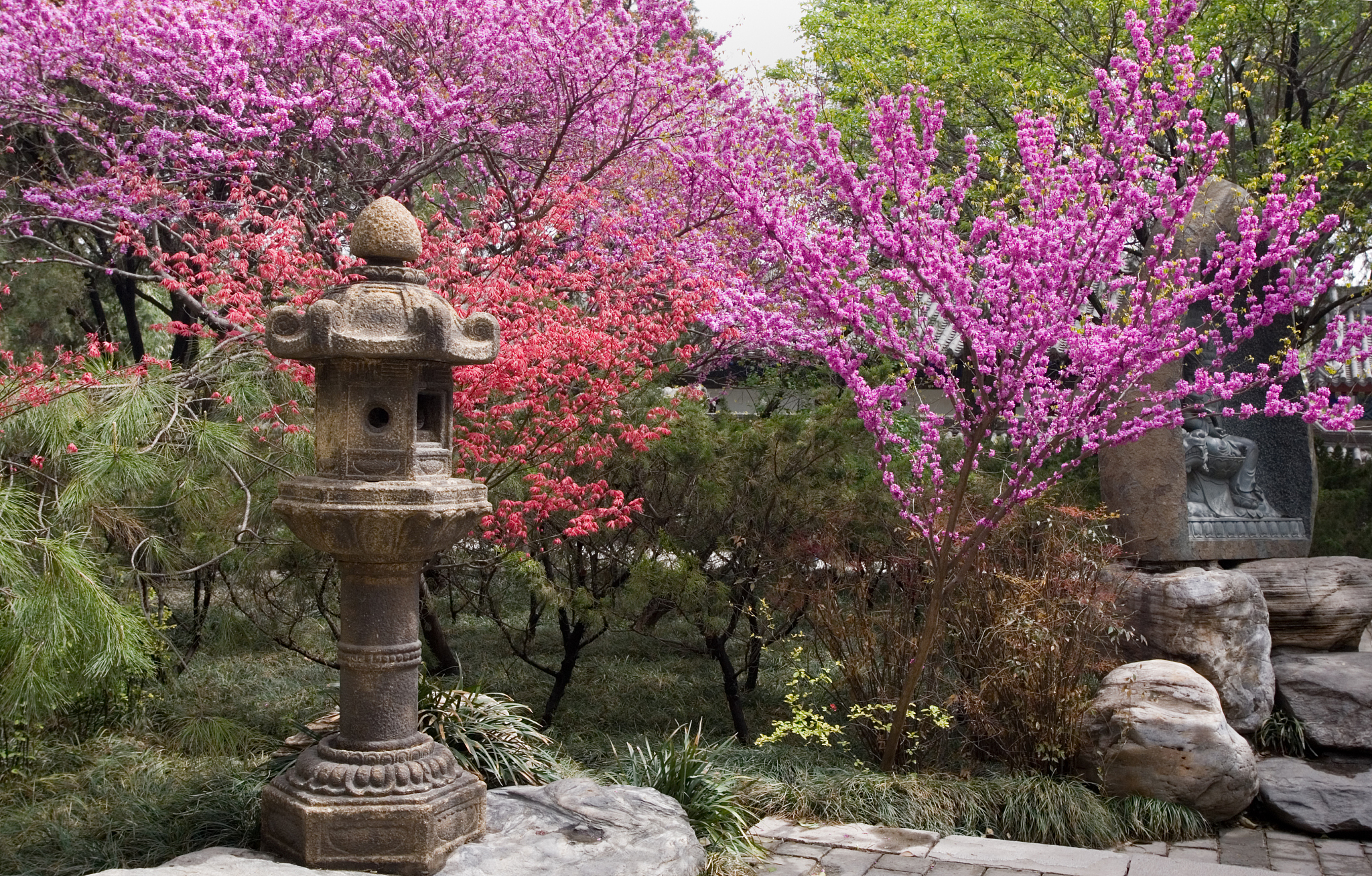 西安海棠职业学院现在什么专业好