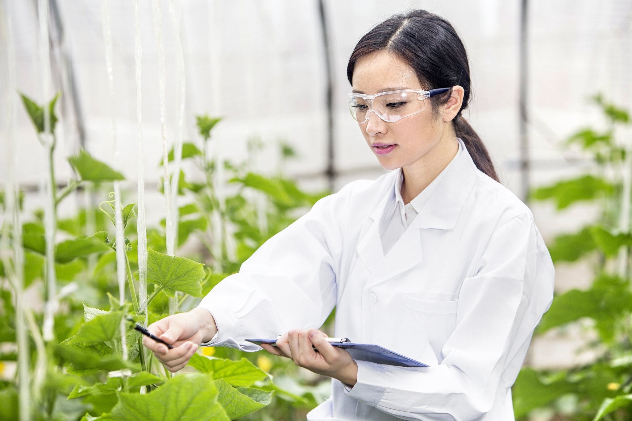 正在大棚里进行科学研究的女士