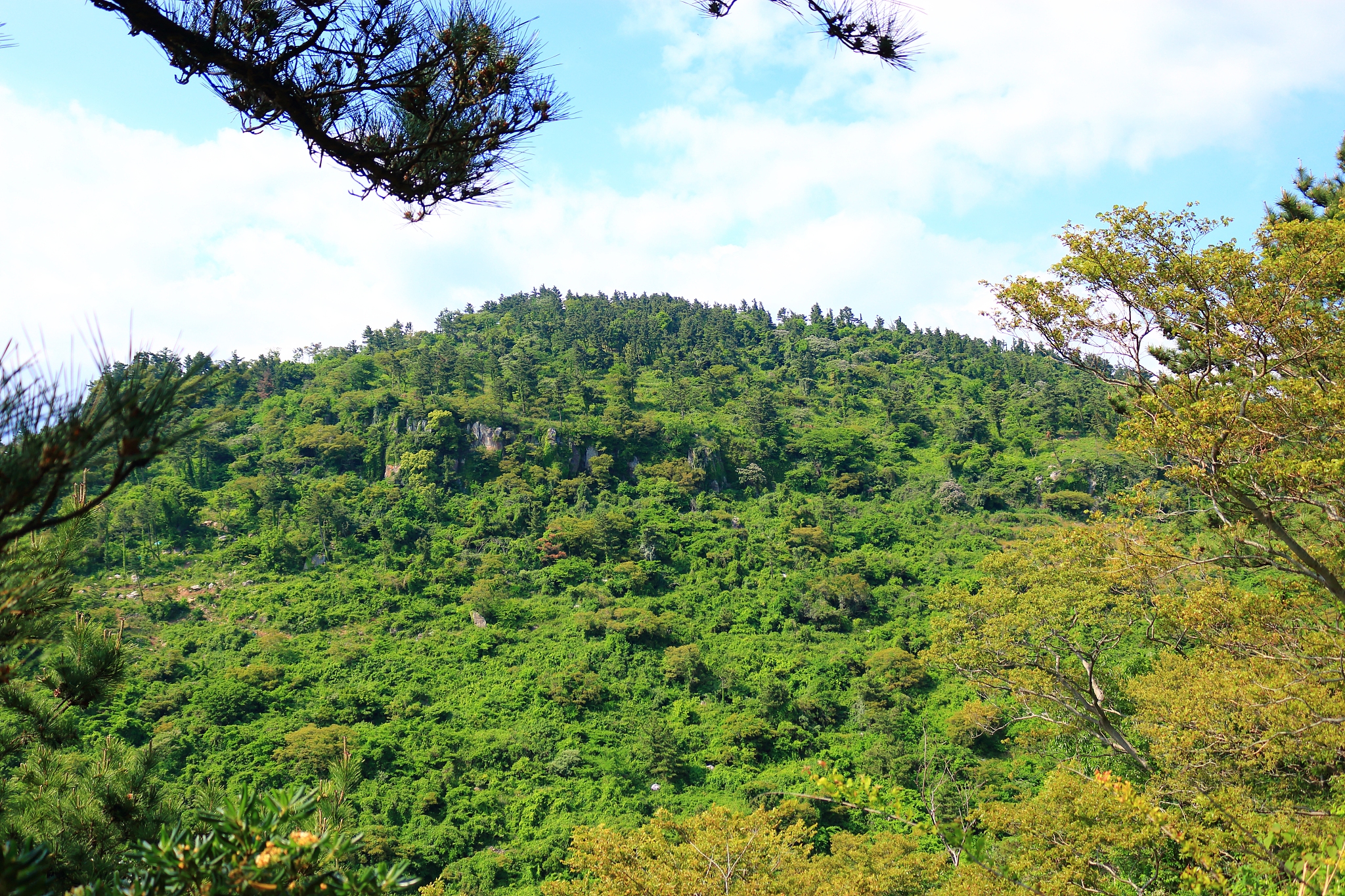 park, cliffs, coast, coast,