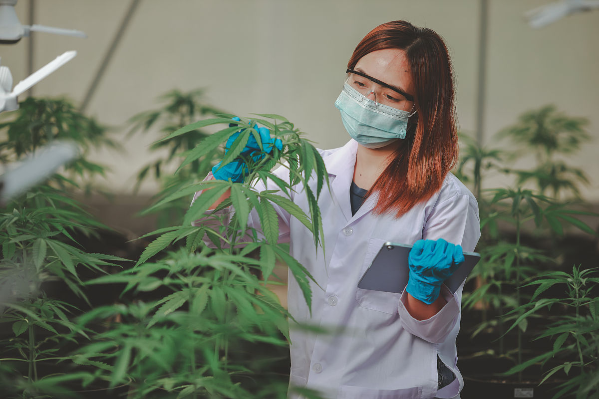 聊城经济开发区职业技术学校中草药种植专业介绍 - 培养高素质中草药种植人才
