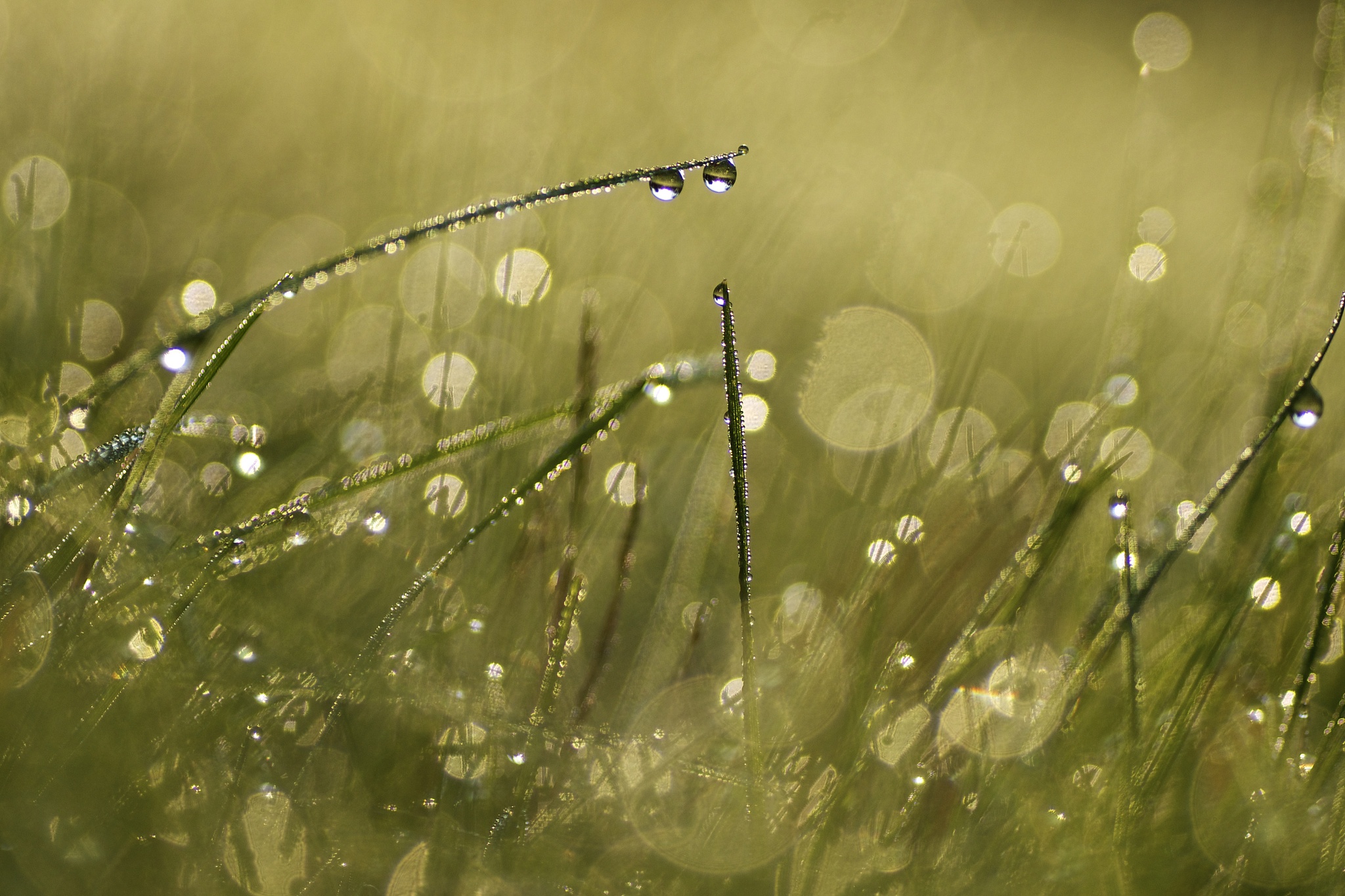 以万雨为主题写篇文章
