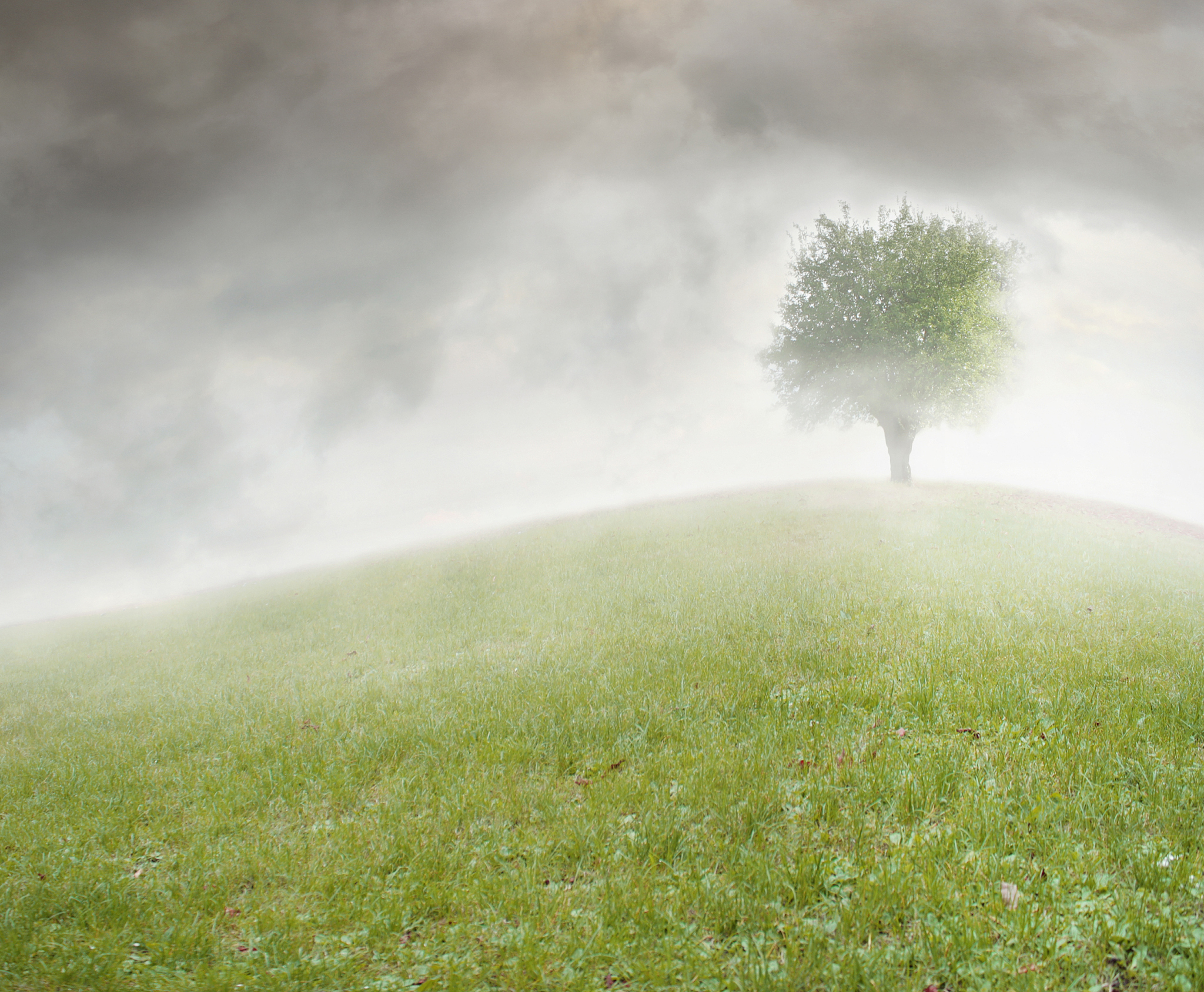 清风细雨，绿草地上的青春诗篇
