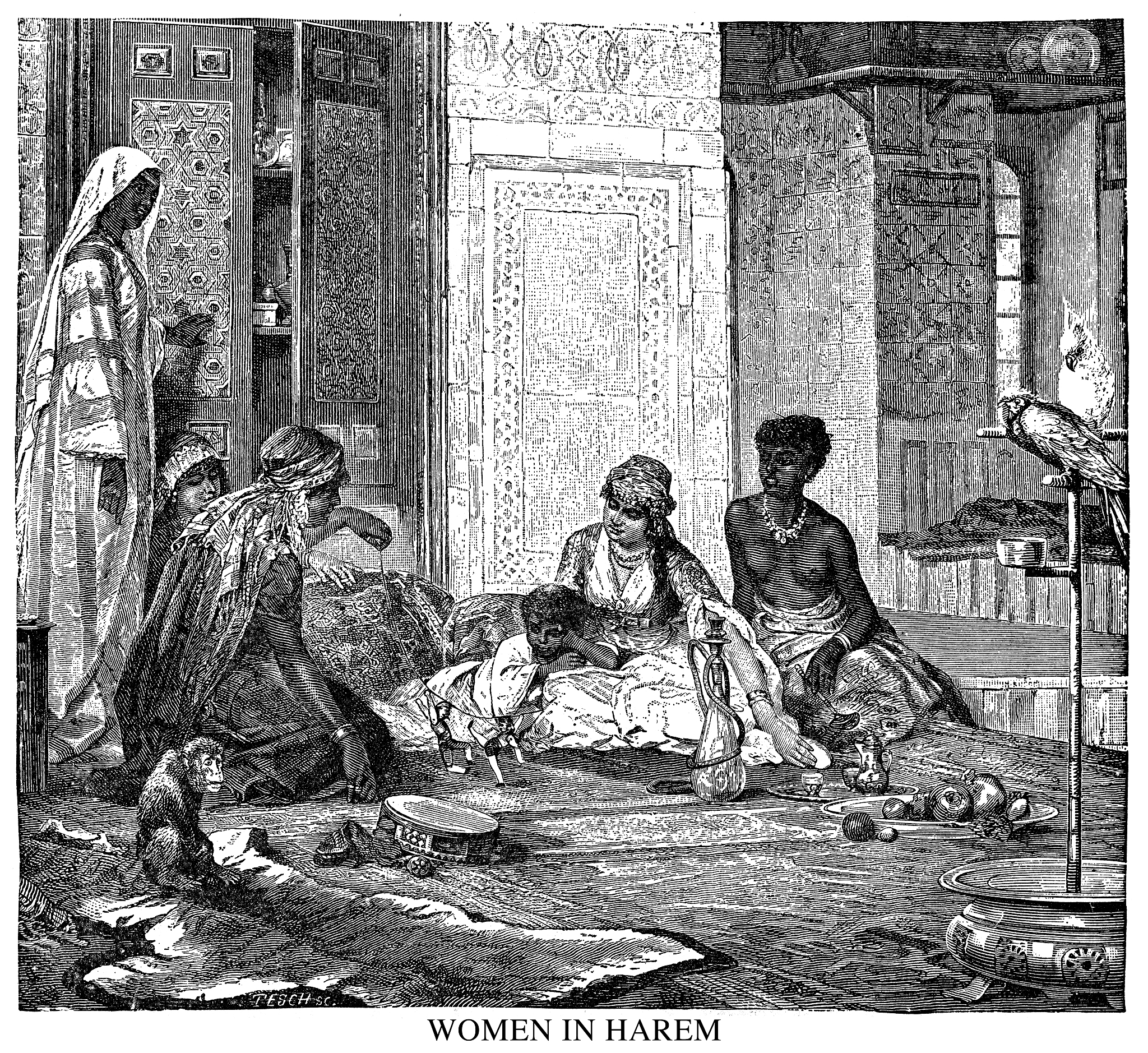 The Secret Tomb Post reading feedback