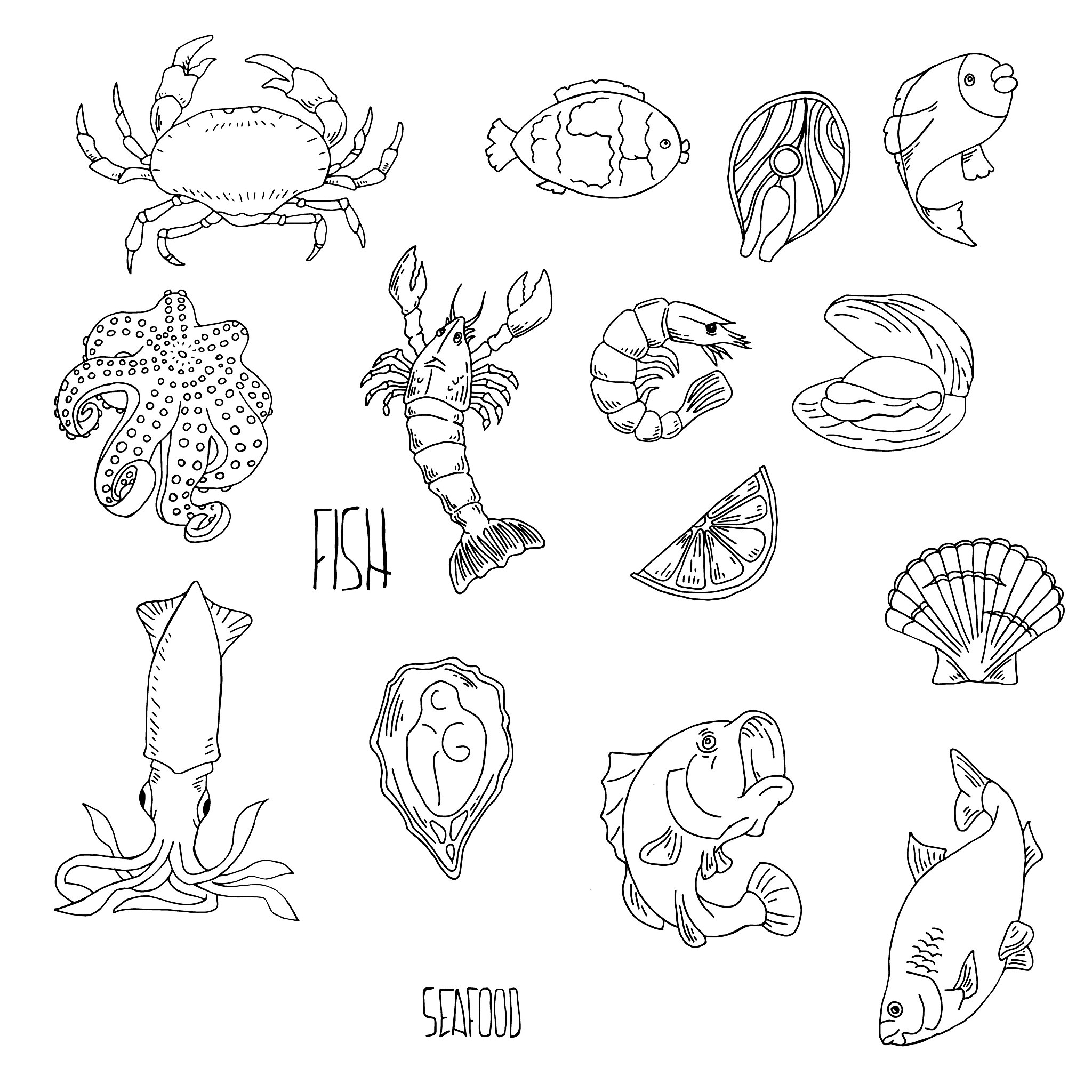 Shrimp Quality Issues: Red/Black Heads and Drying