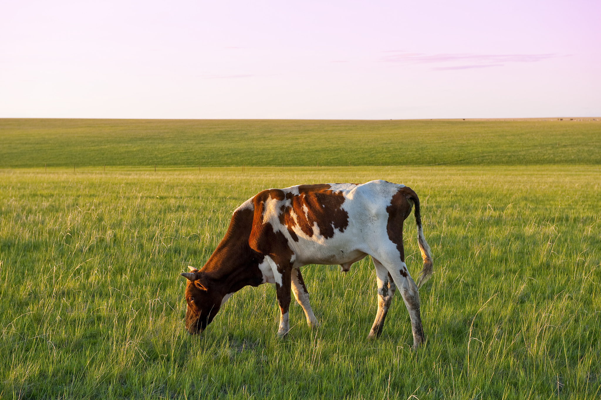 内蒙古草地分等定级编制表