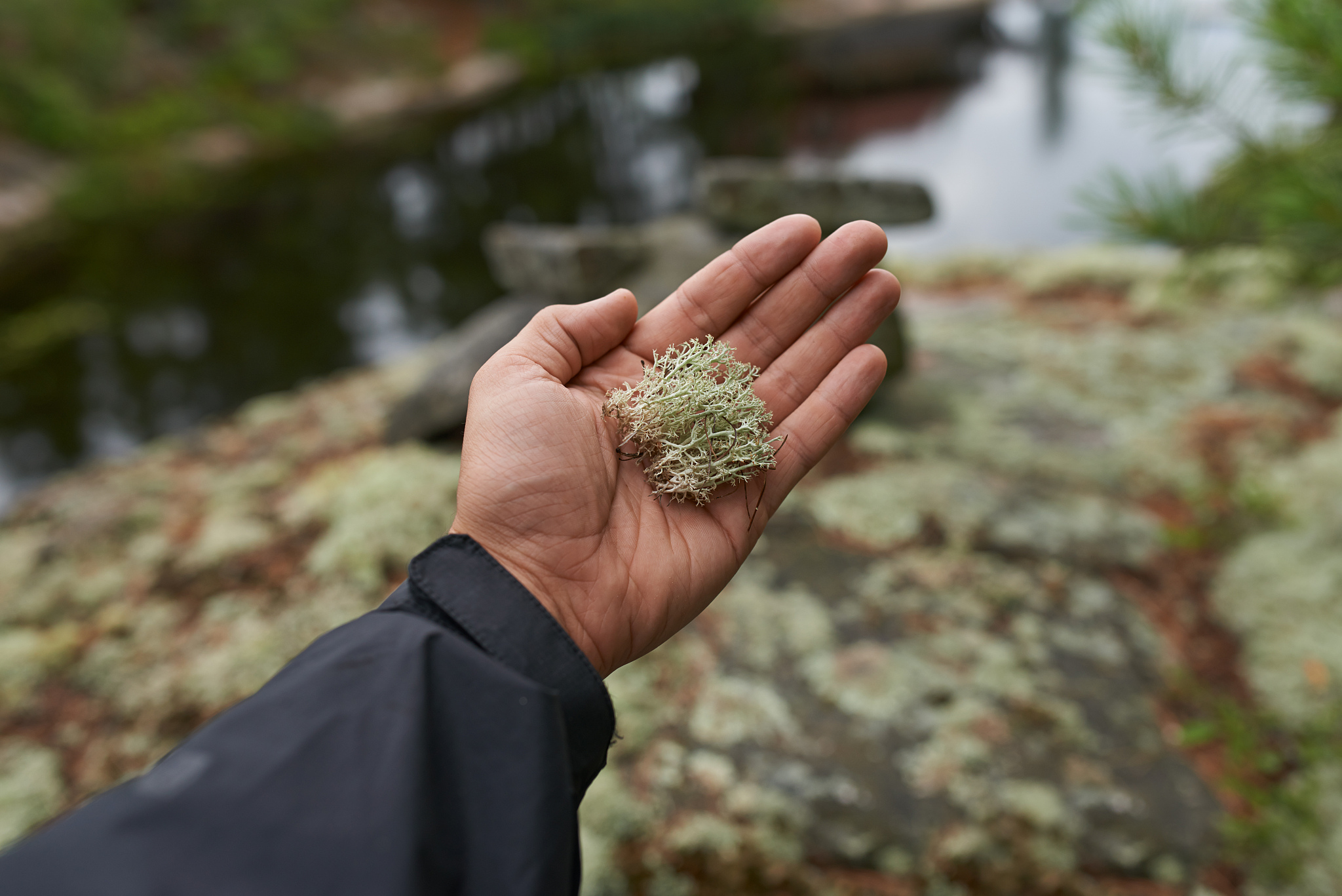 润色下面这段话：多样性一般指土地利用多样性反映范围内满足不同活动需求的用地设施分布。土地利用混合度是衡量多样性的一种常用方法其数值越小表示混合程度越低数值越大表示混合程度越高。简·雅各布斯针对美国当时多数社区内单一的土地利用类型认为混合土地利用可以让社区更安全、街道更适合步行且社区活力更好。然而也有后续研究发现混合土地利用并不一定会使得社区更安全反而可能会降低社区安全和认同感对日常活动和出行带来负