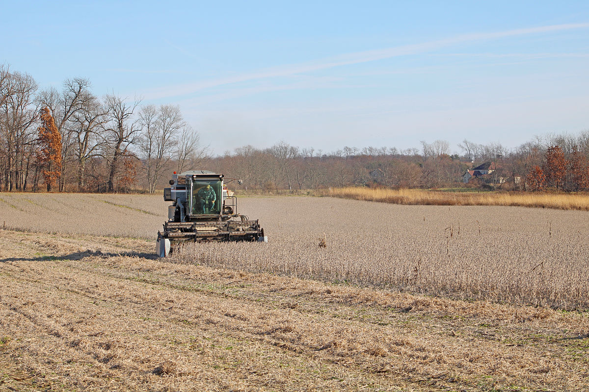 武威职业学院设施农业技术专业就业方向有哪些