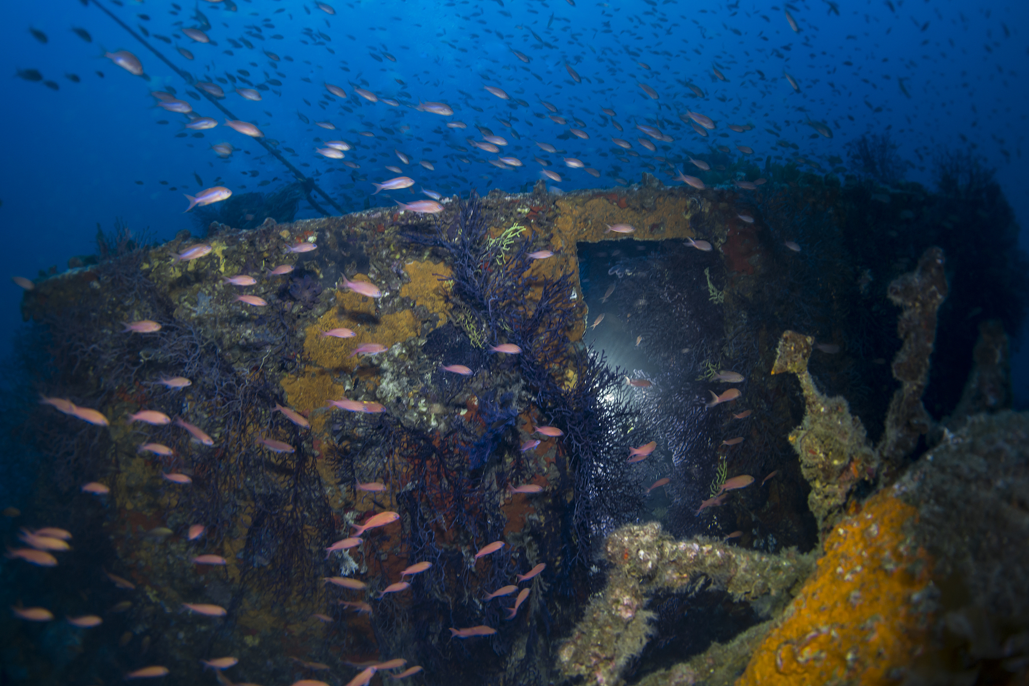 wreck of diving