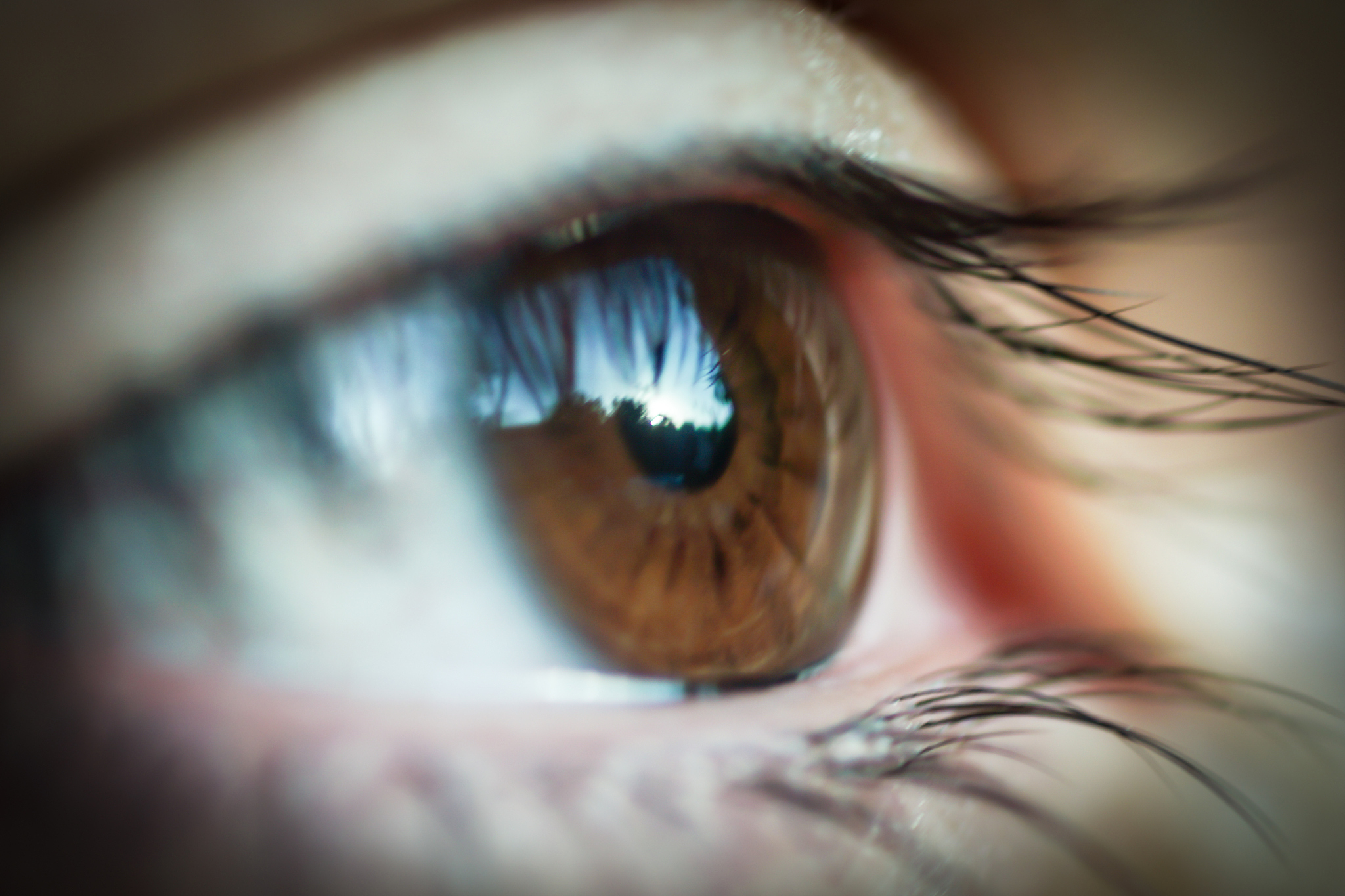 human eye
