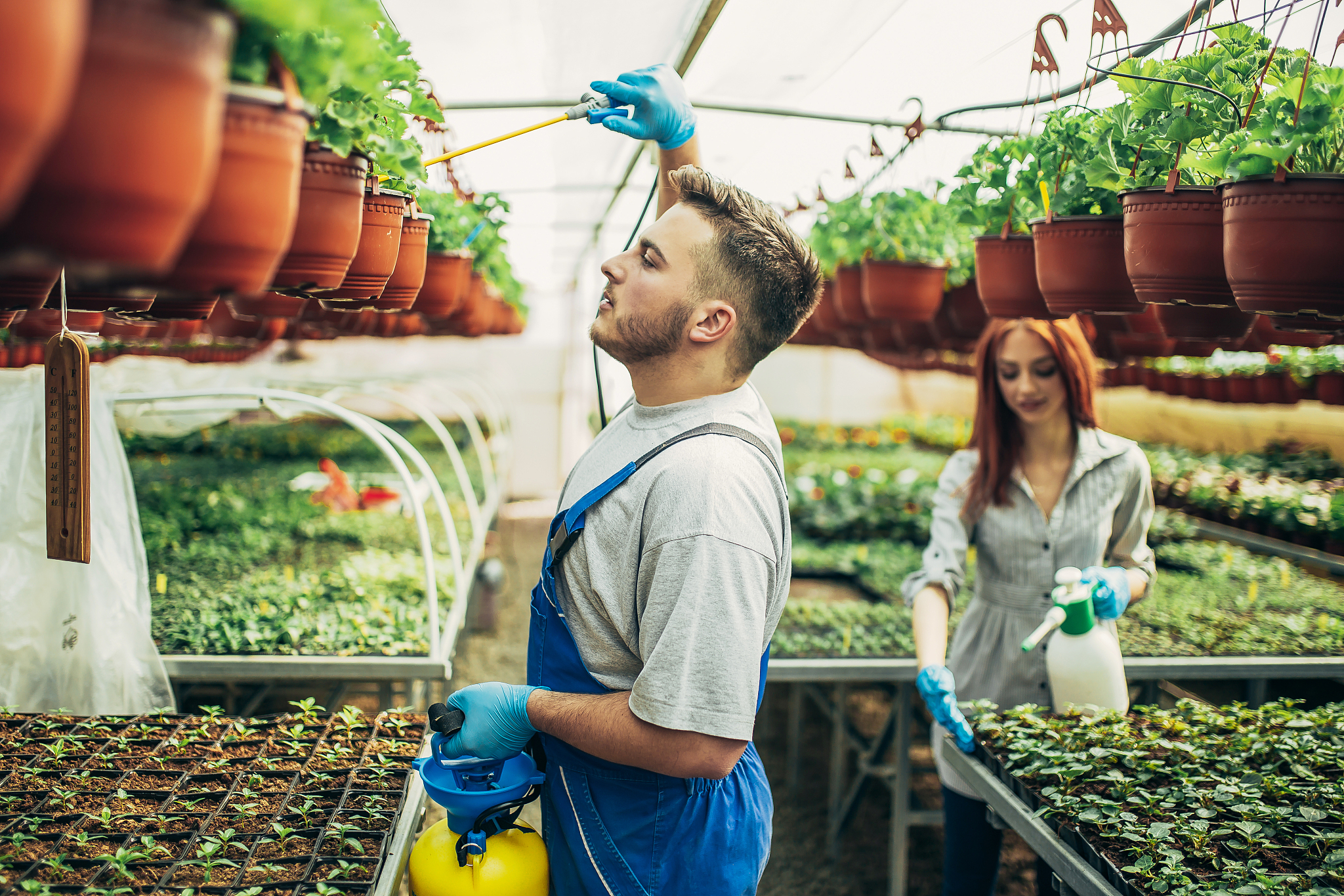 gardners working in the garden center