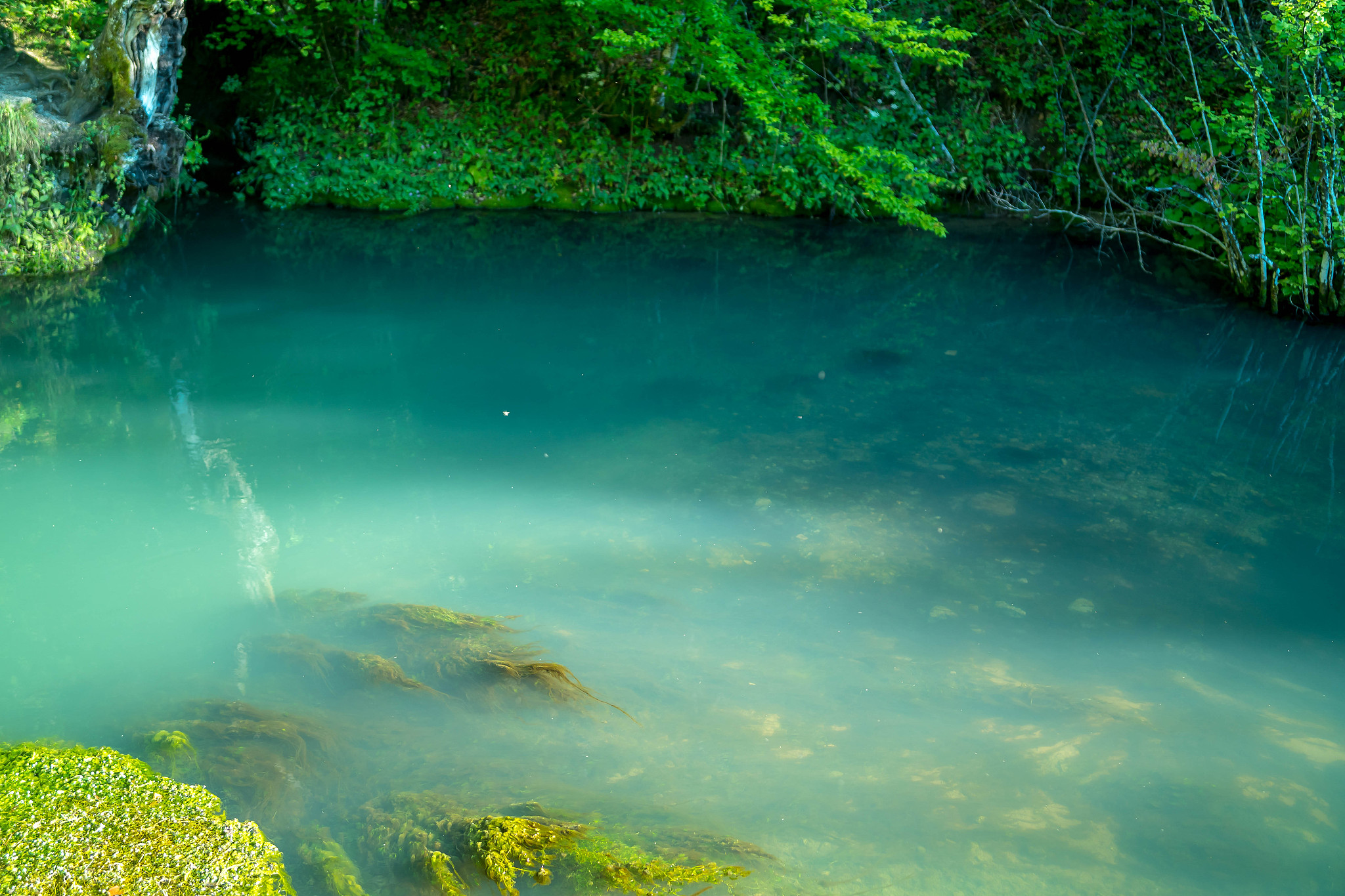 beautiful water