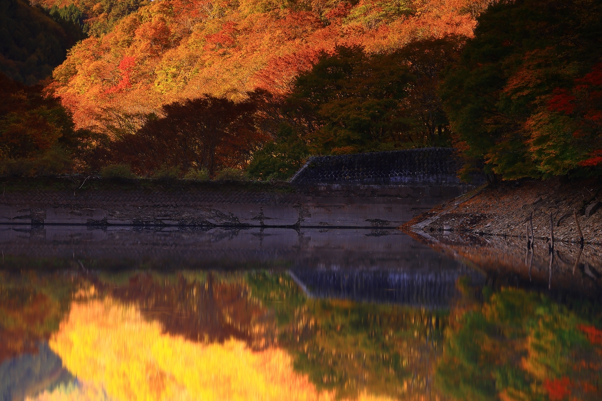 英文翻译浔阳江头夜送客枫叶荻花秋瑟瑟