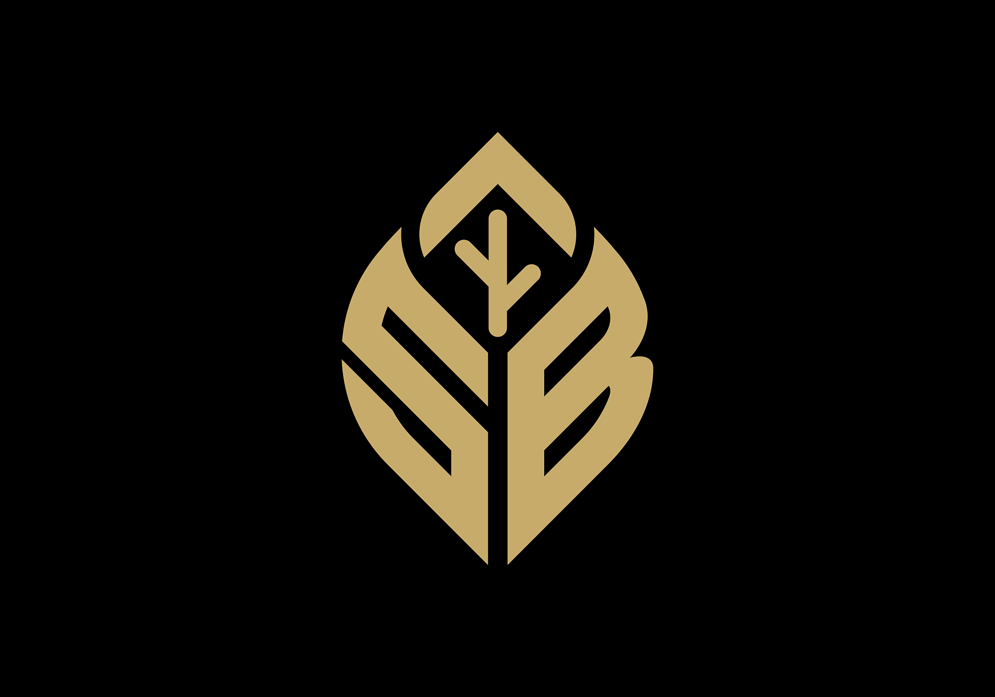 标志,叶子,品牌名称,英文字母s,抽象,符号,英文字母<strong>b</strong>
