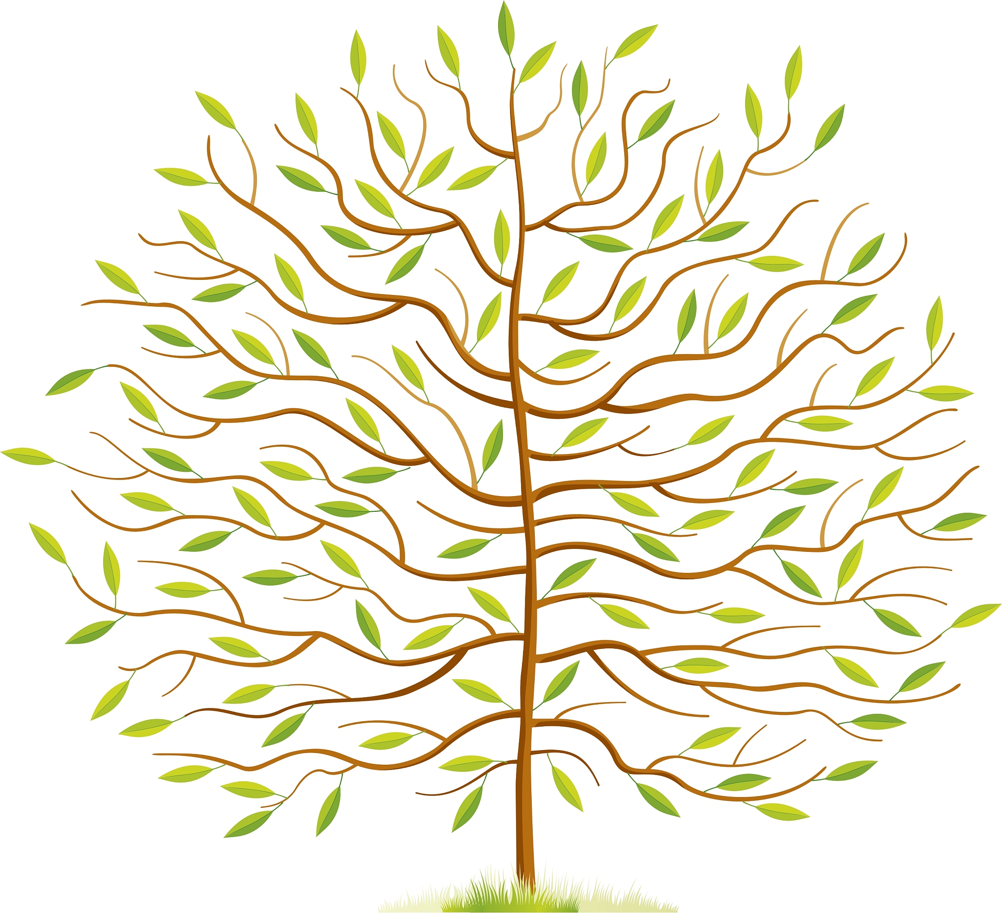 spring tree