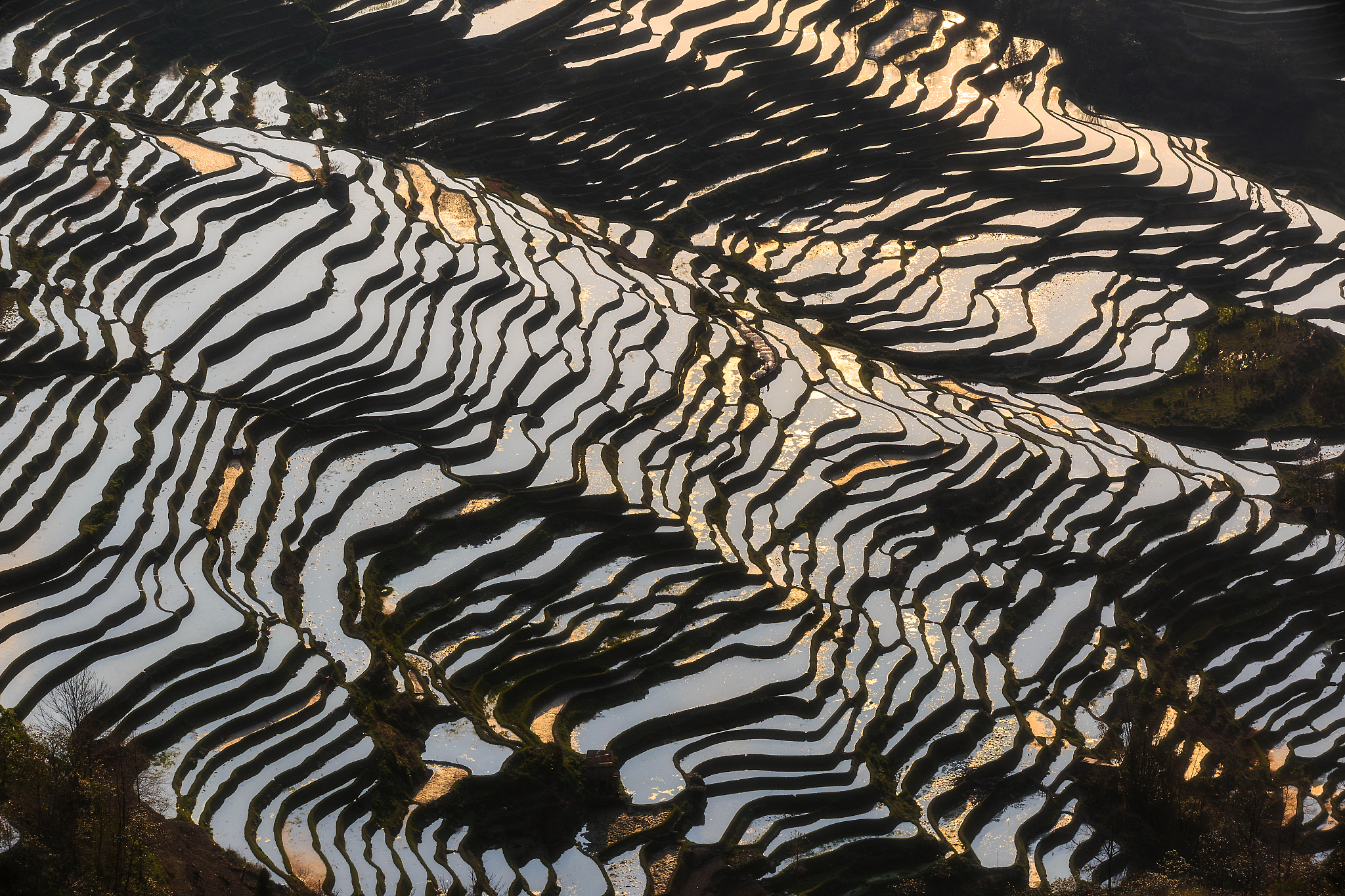 红河州农业学校什么学历