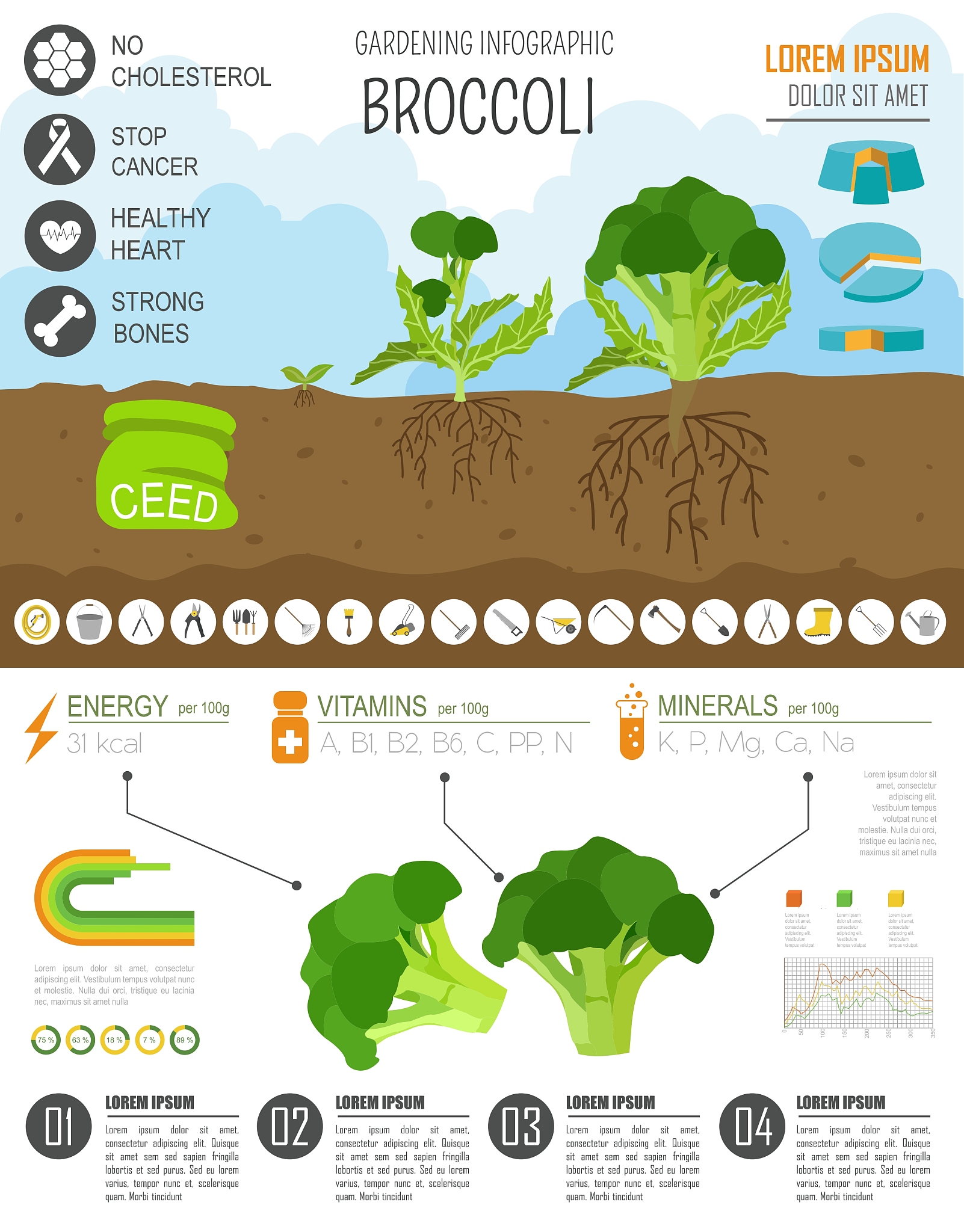 氮肥的作用与注意事项