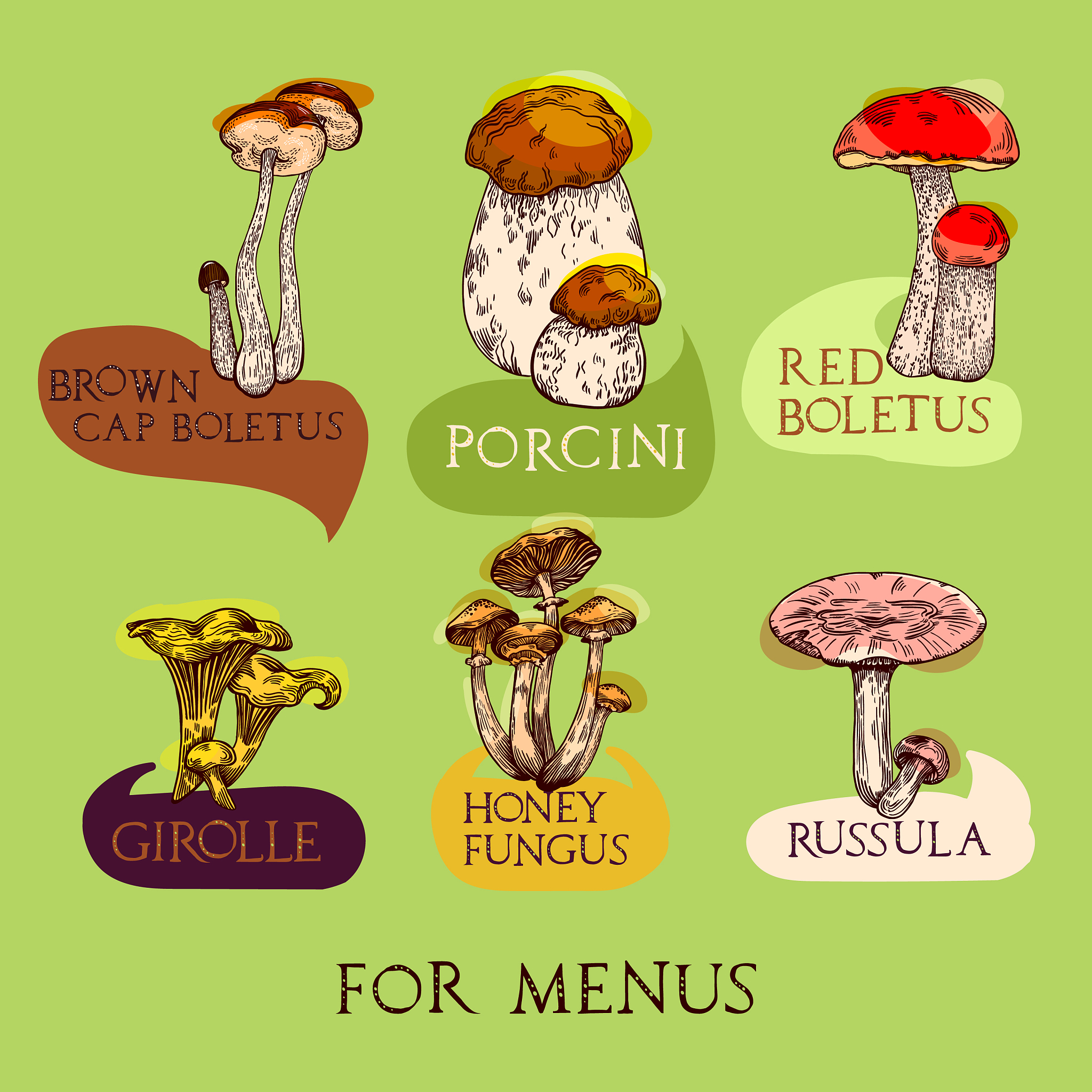 Supporting Family Businesses: Dried Candies & Mushroom Growing