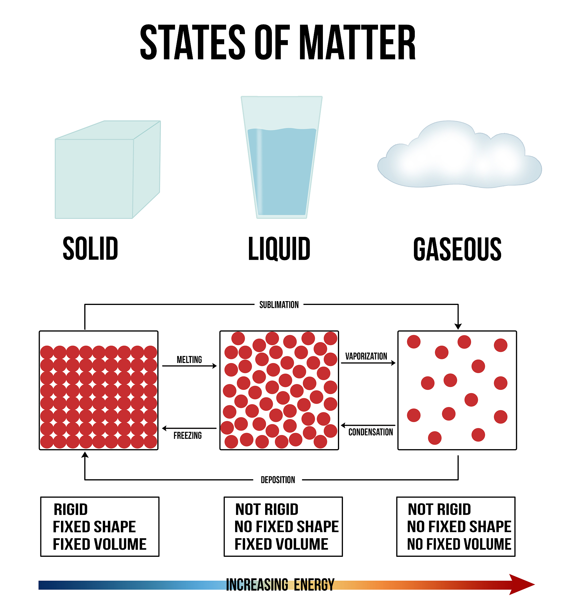 VTK 数据集表面提取：vtkDataSetSurfaceFilter 使用指南