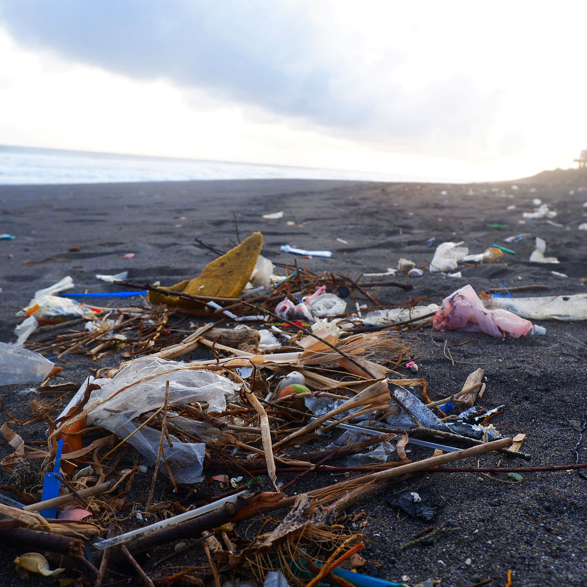 看到海滩垃圾的纪实稿