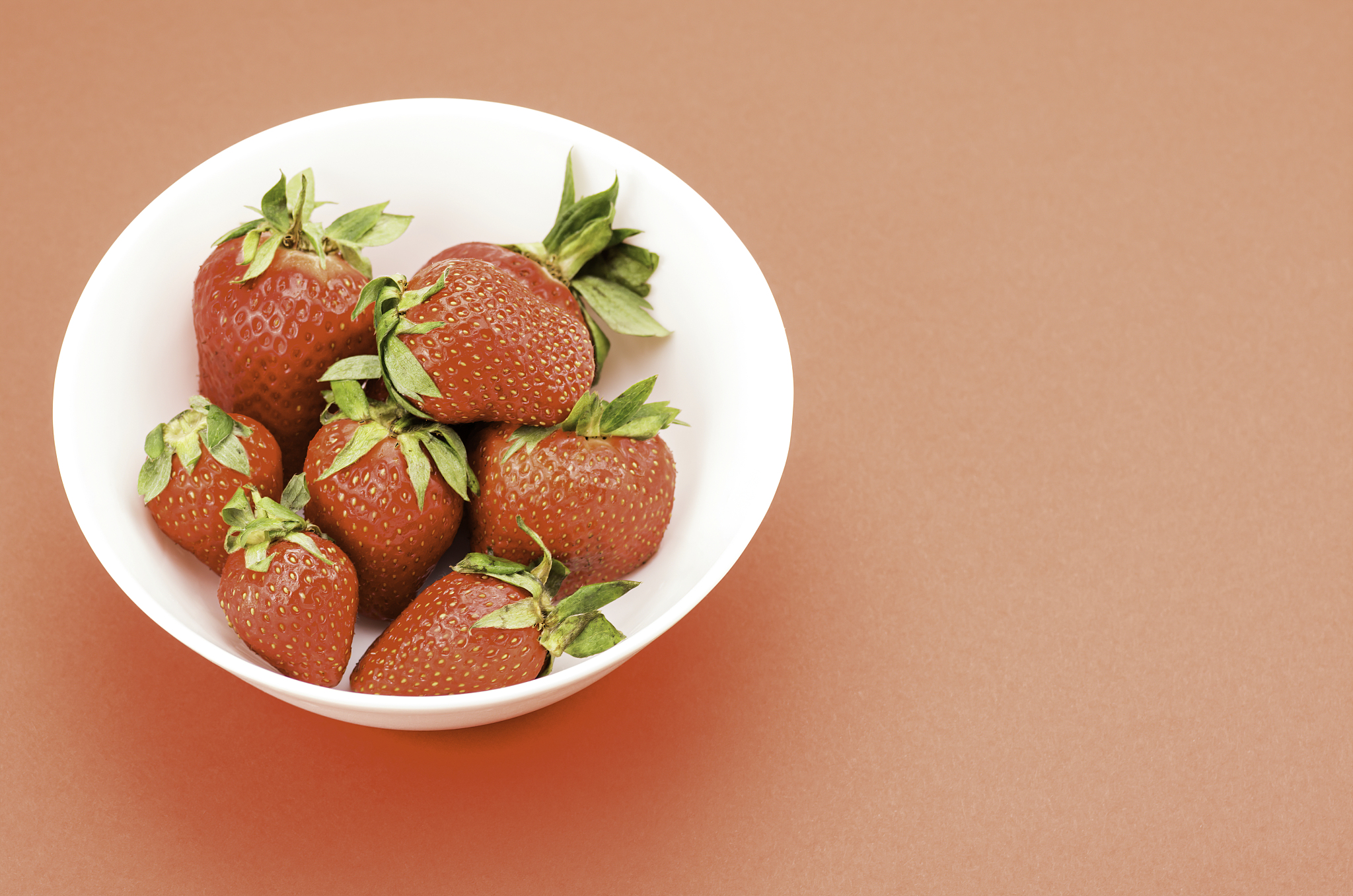 云南农业学校五年制专业详解 | 2019年招生简章