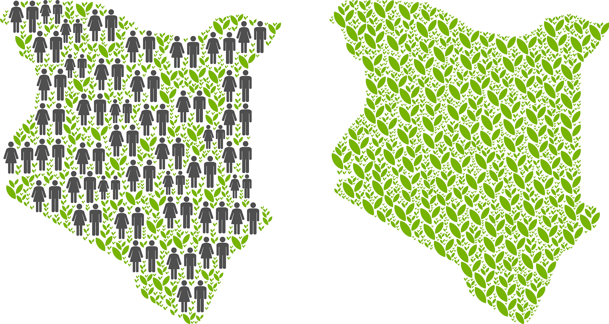 嫂子的策略：她精心策划的计划