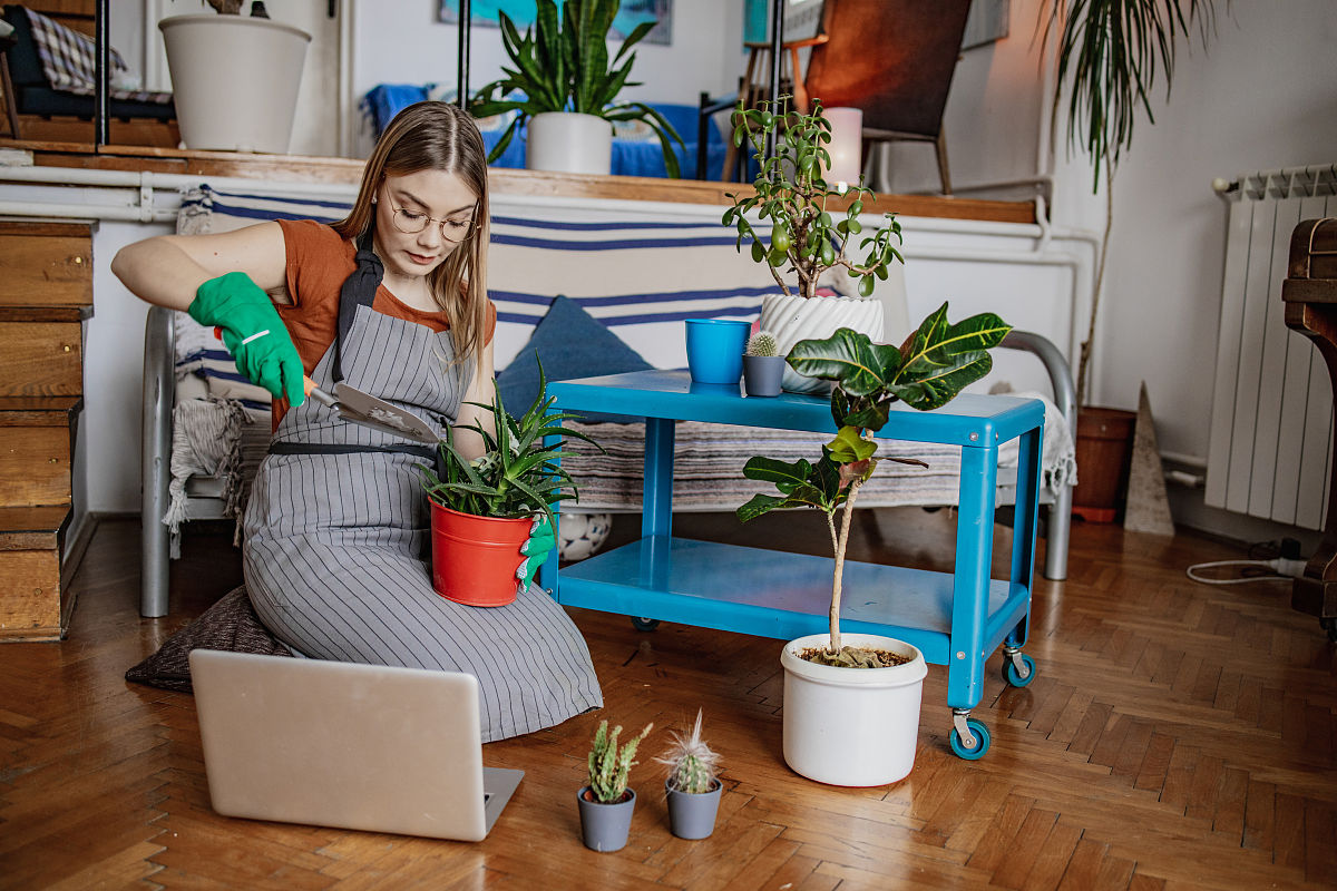 《婚姻与家庭治疗》课程感悟与评价不少于800字