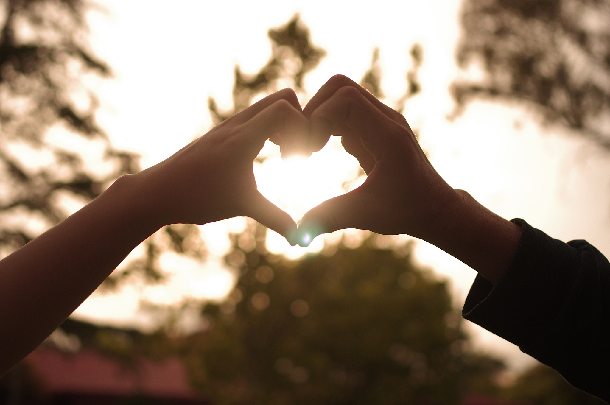 你在感情世界中是颇尊+重伴侣的