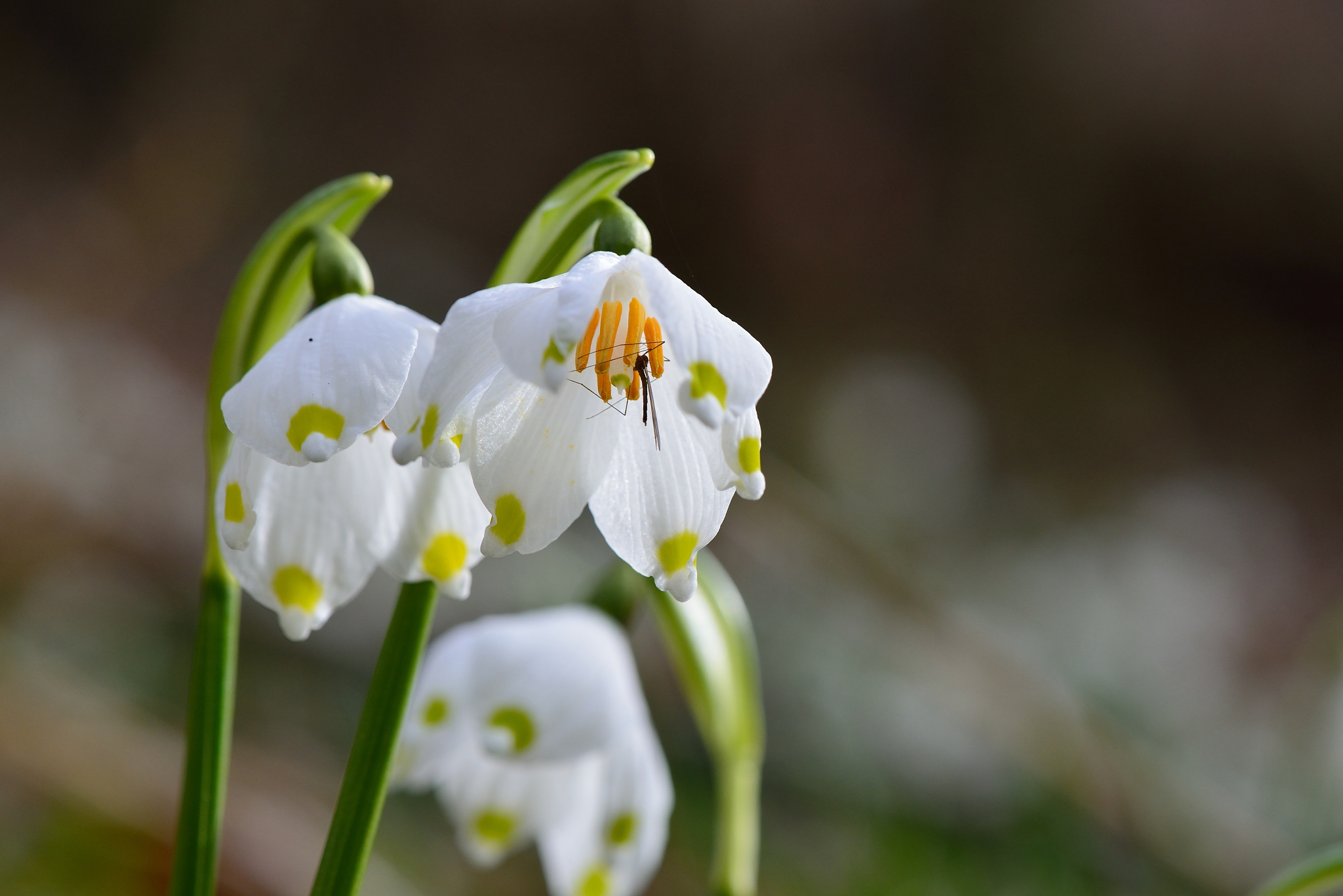 AMD Ryzen 5 5600 + 微星B550M MORTAR WIFI主机配置推荐 - 价格、配件、购买指南