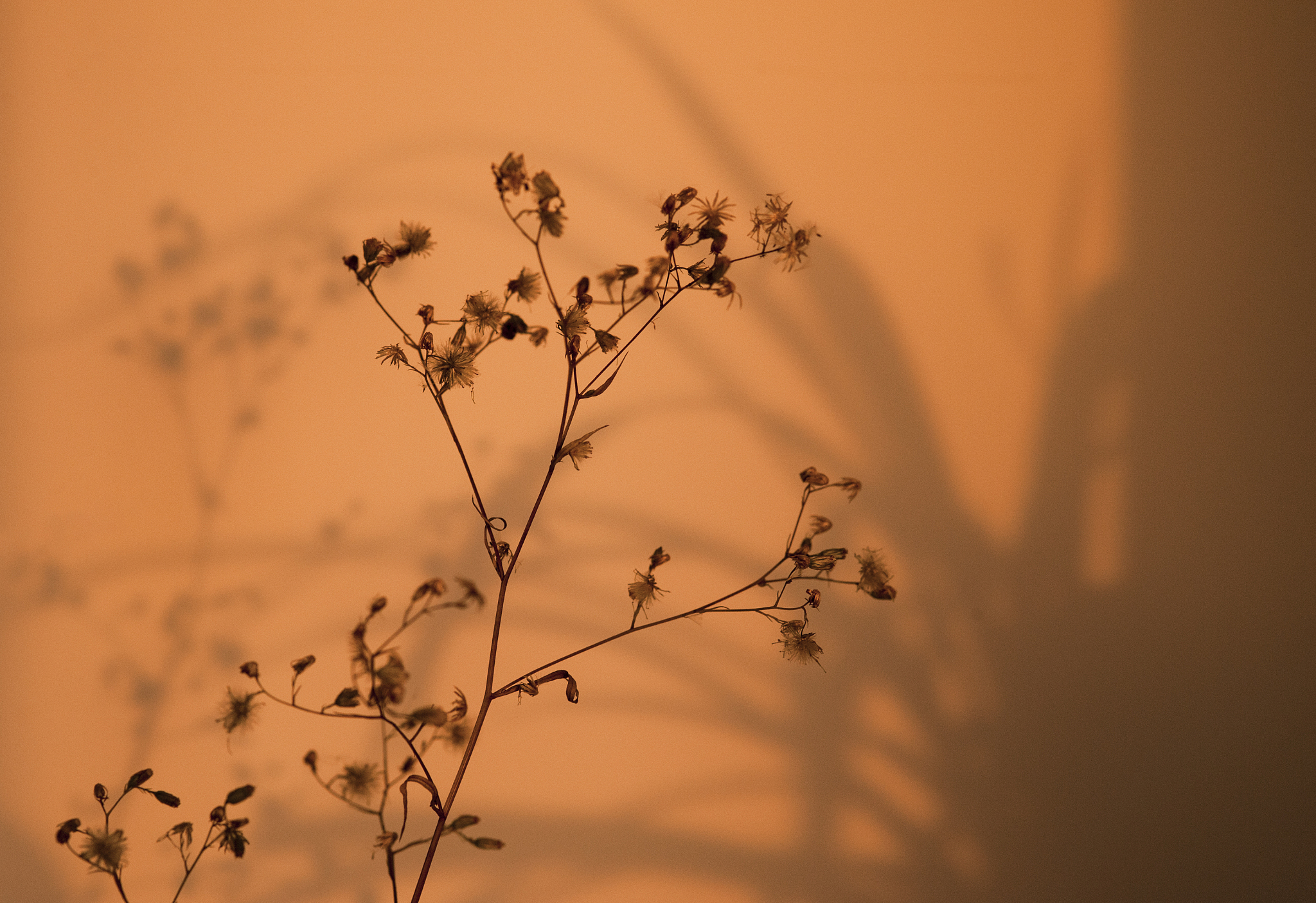 重逢，能否解开心中的执念？