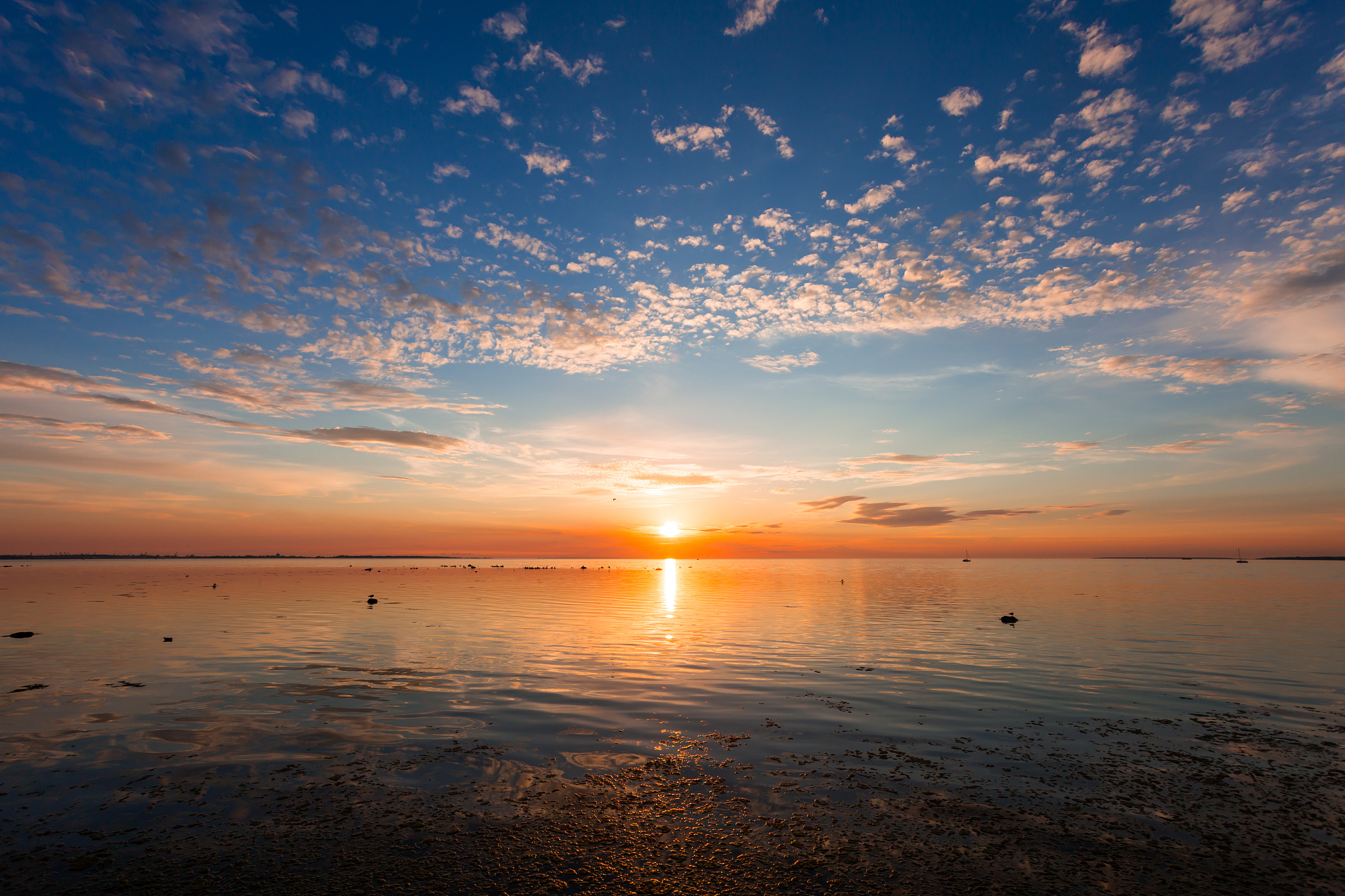 In term of line 83 and 115 line 165-176 and line 93-104 line 103-107 and line 227-234 we have revised the sections to avoid redundancy in the manuscript The revised sections are listed below for your